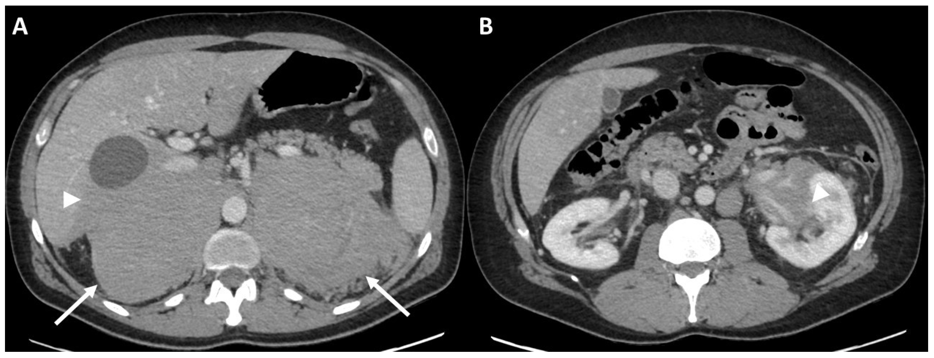 Curroncol 29 00623 g002
