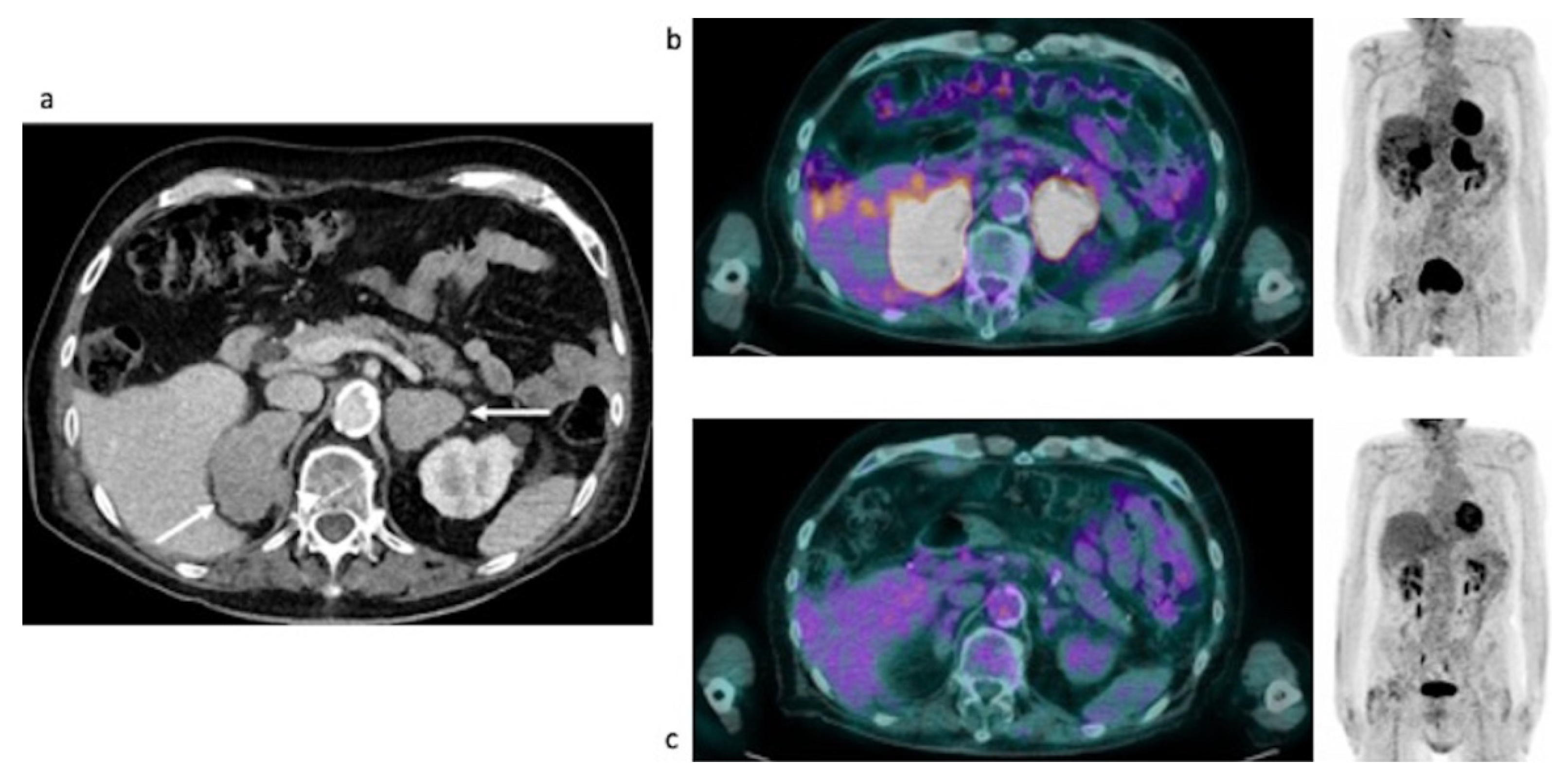 Curroncol 29 00623 g007