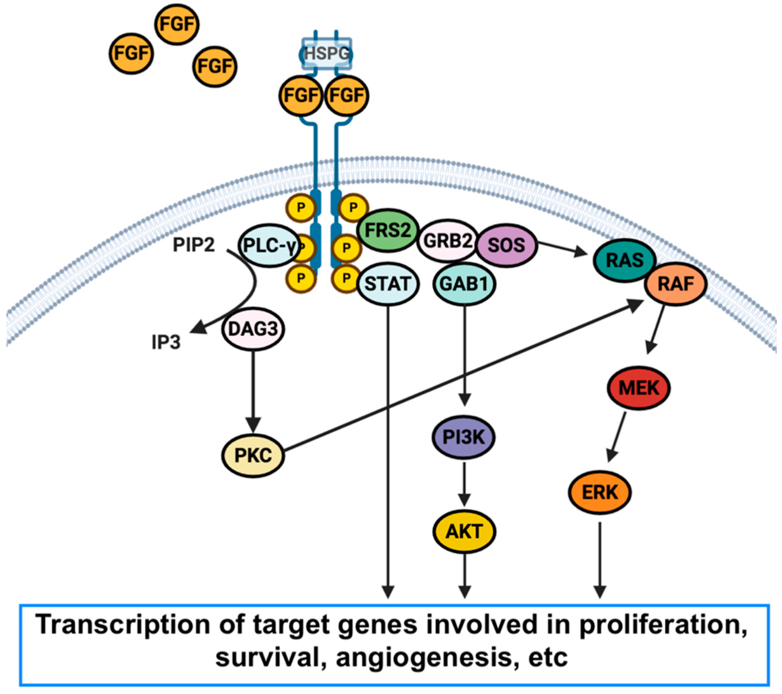 Curroncol 29 00626 g001 Curroncol 29 00626 g001
