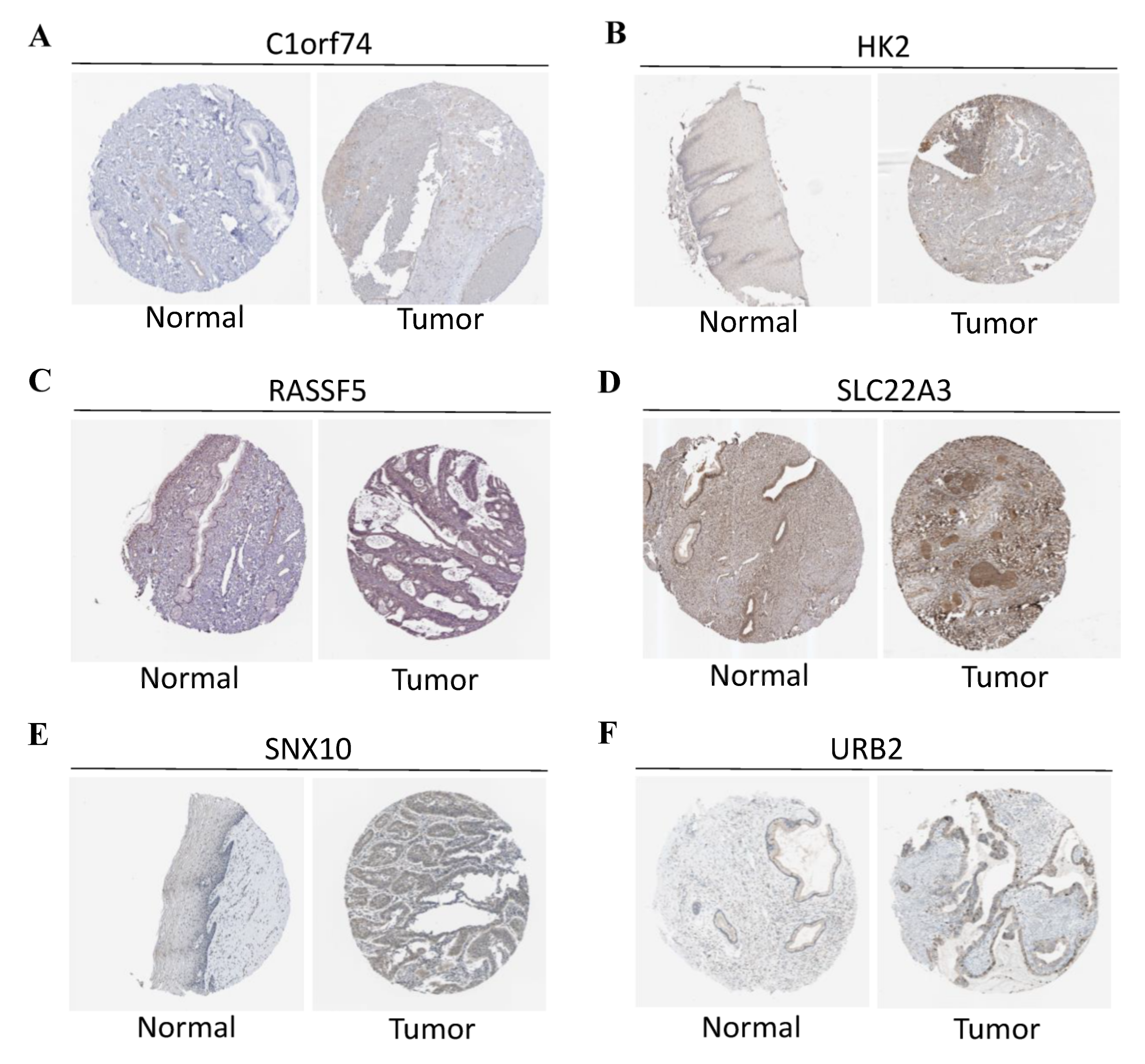 Curroncol 29 00633 g007 Curroncol 29 00633 g007