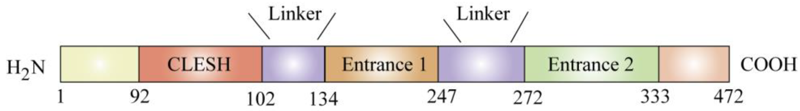Curroncol 29 00642 g001