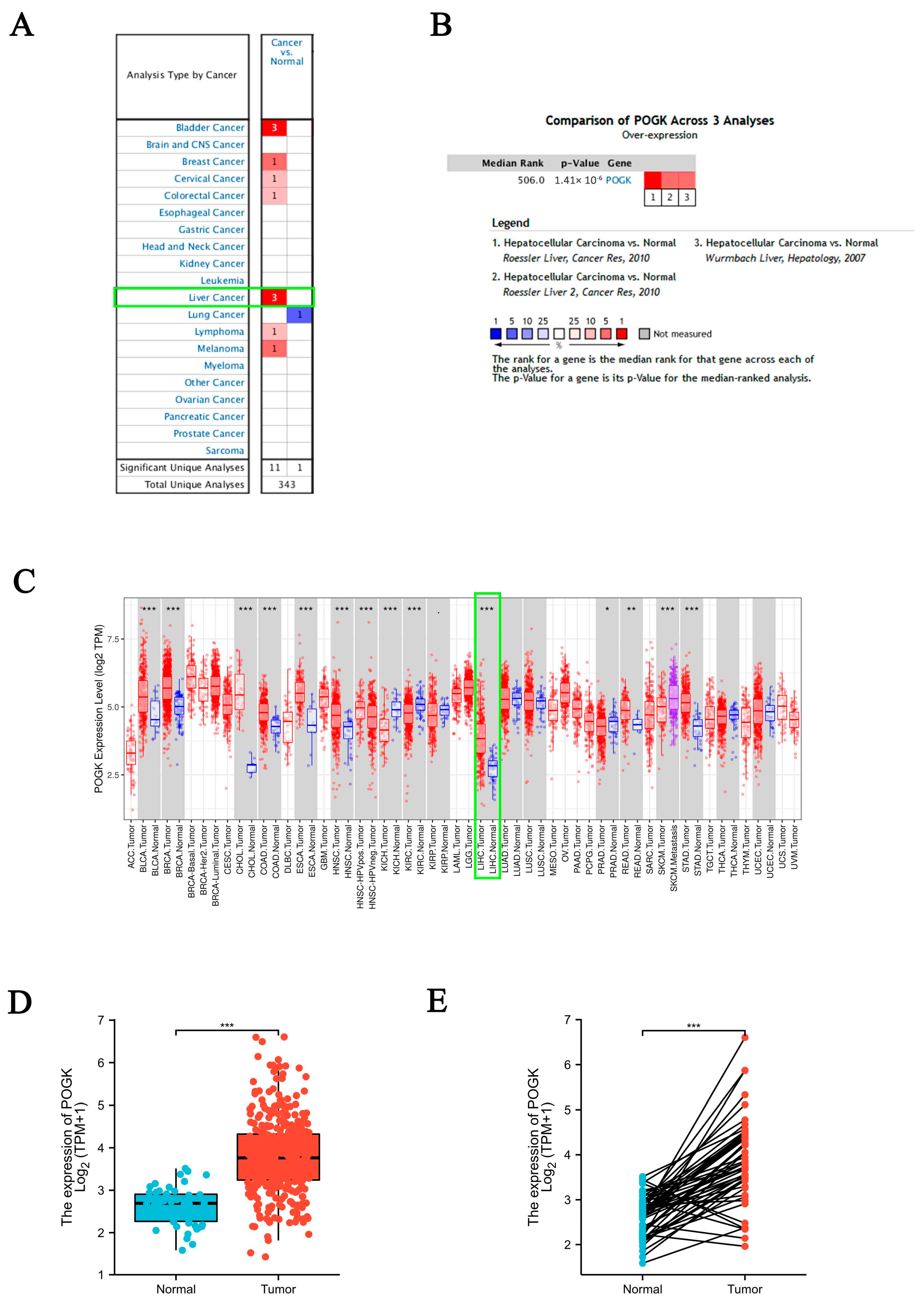 Curroncol 29 00682 g001 Curroncol 29 00682 g001