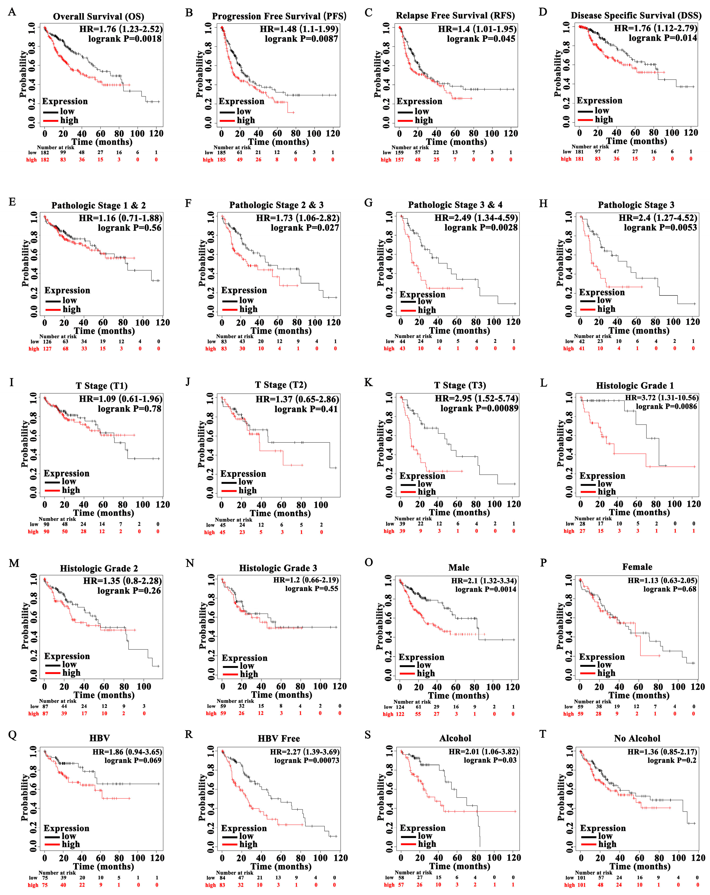Curroncol 29 00682 g004 Curroncol 29 00682 g004