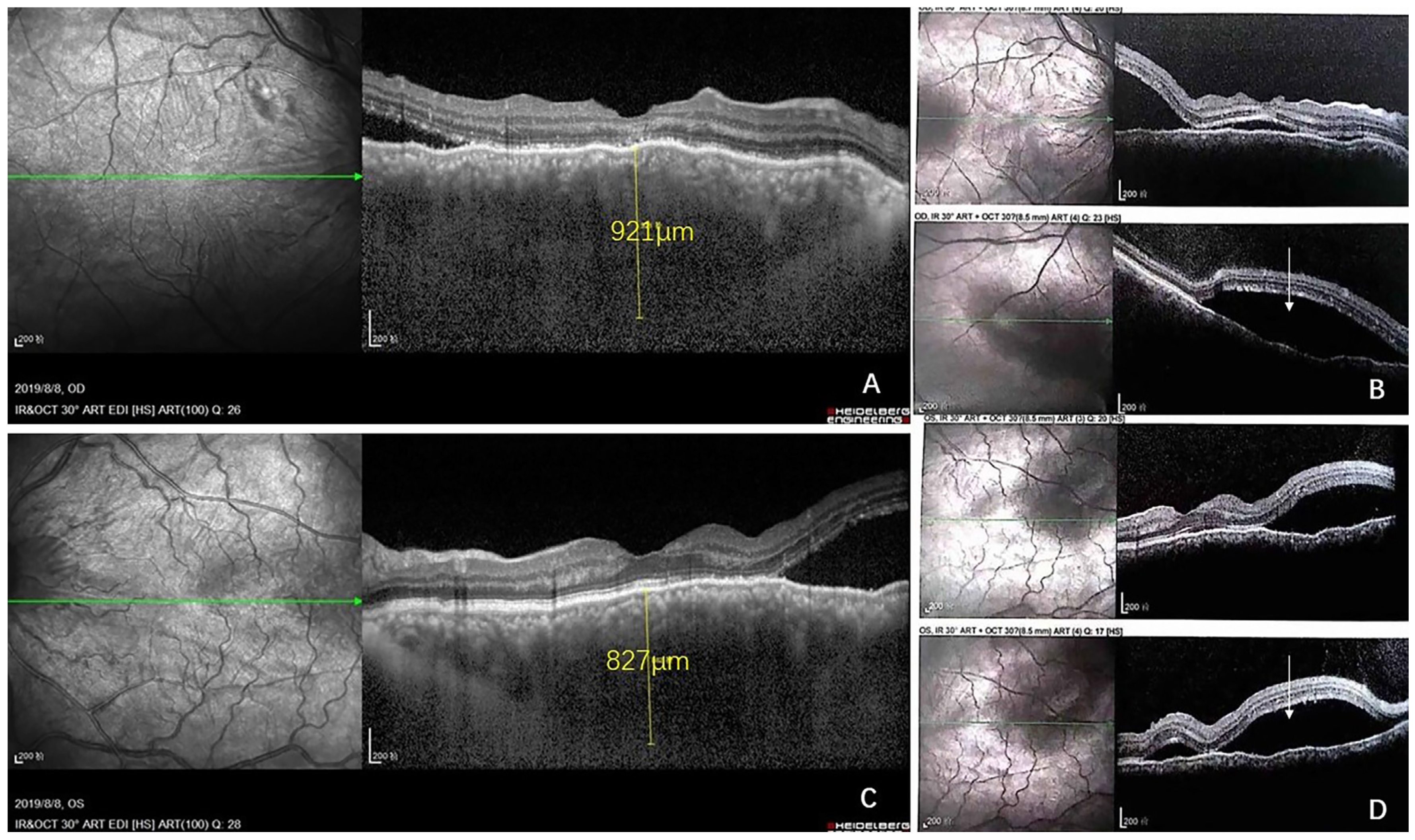 Curroncol 29 00695 g002 Curroncol 29 00695 g002