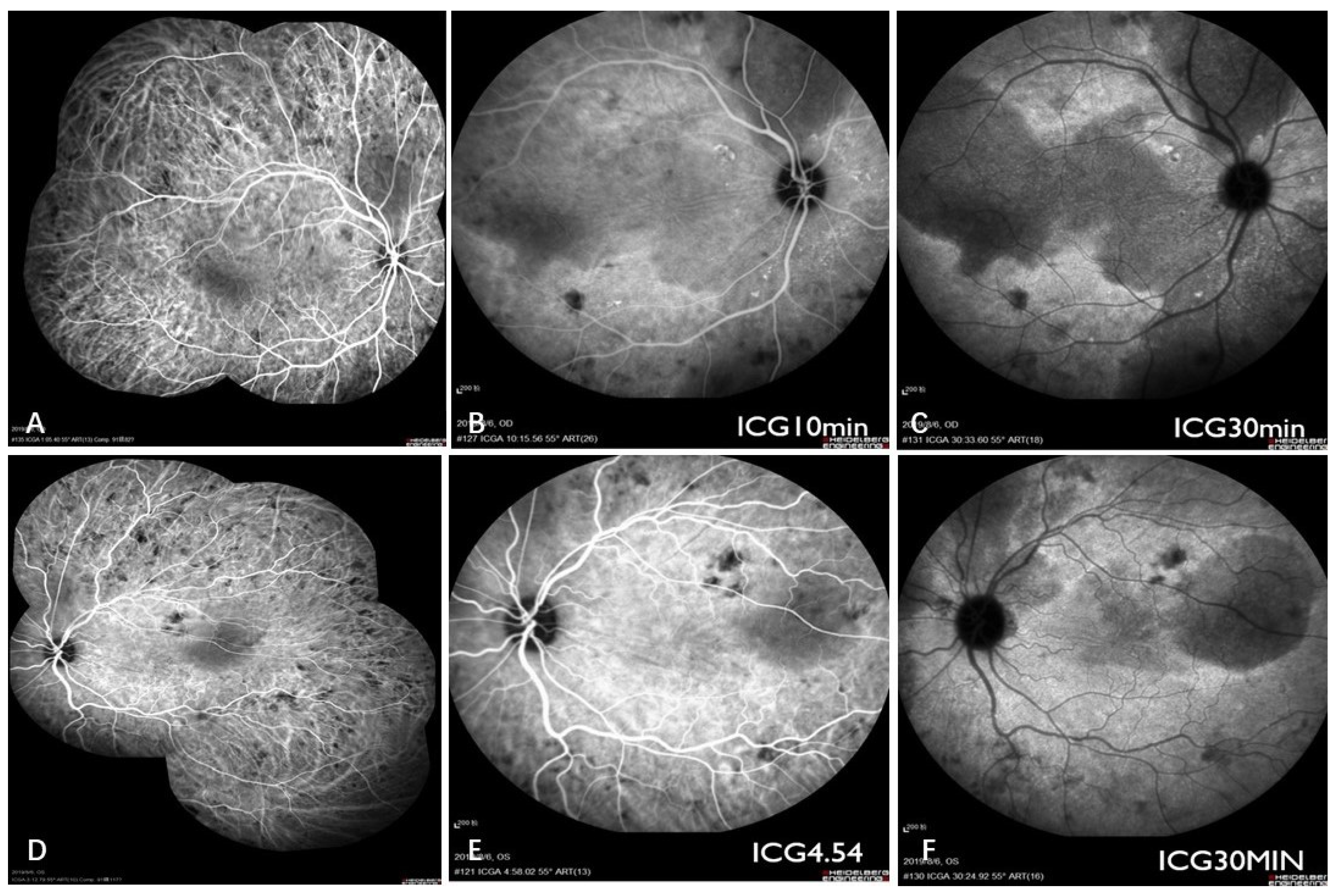 Curroncol 29 00695 g004 Curroncol 29 00695 g004