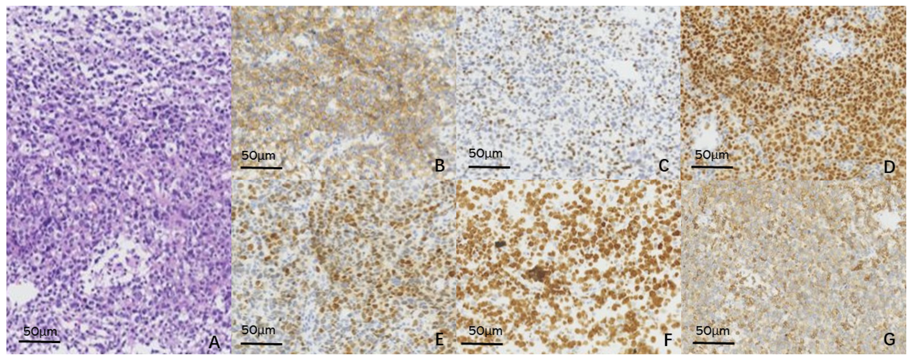 Curroncol 29 00695 g005 Curroncol 29 00695 g005