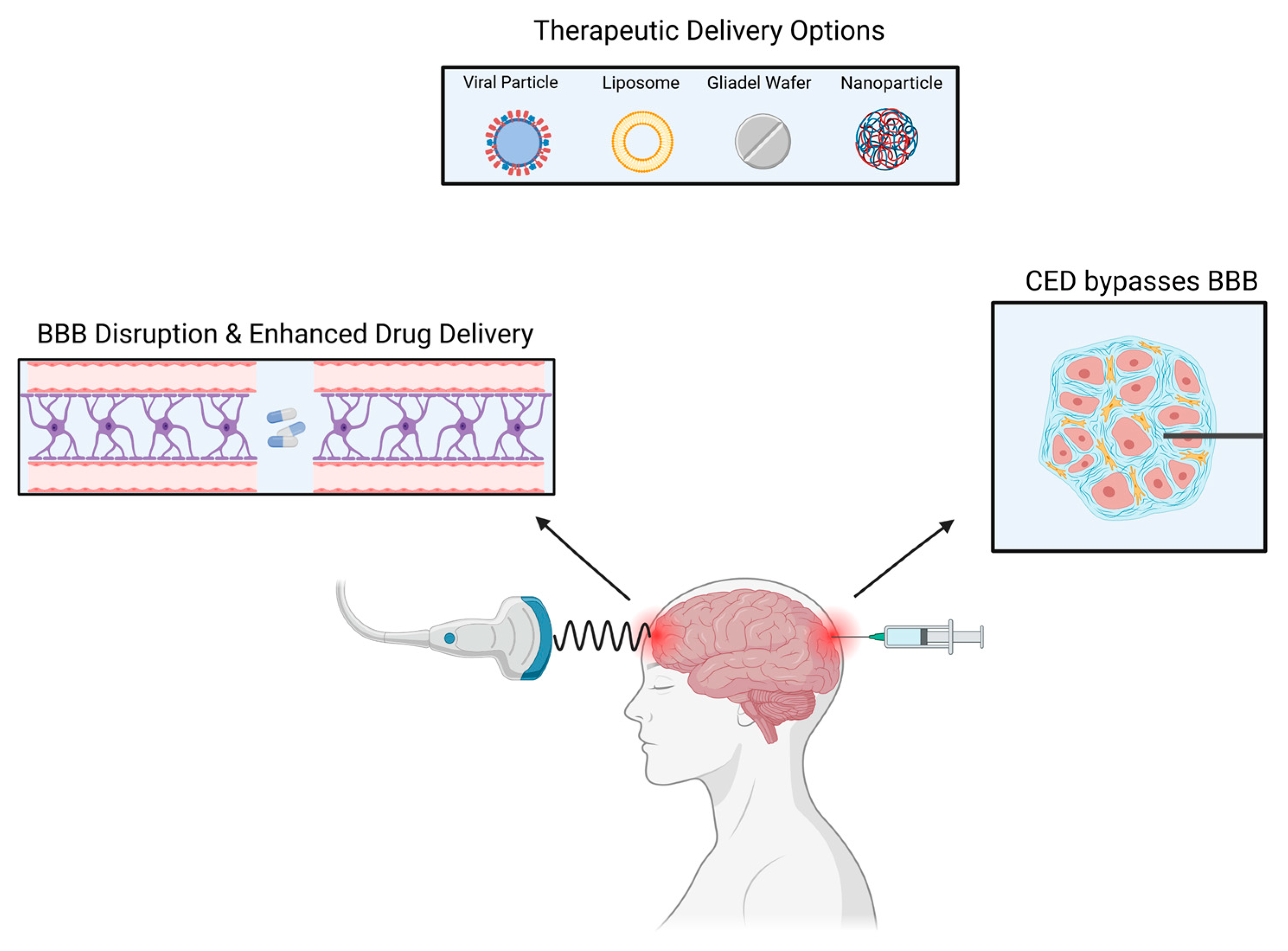 Curroncol 29 00696 g002 Curroncol 29 00696 g002