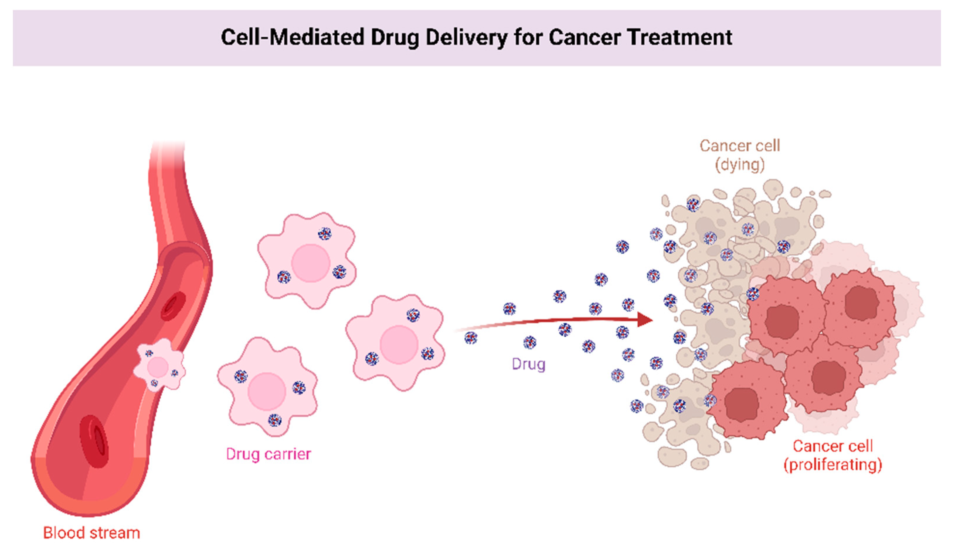 Curroncol 29 00696 g003 Curroncol 29 00696 g003