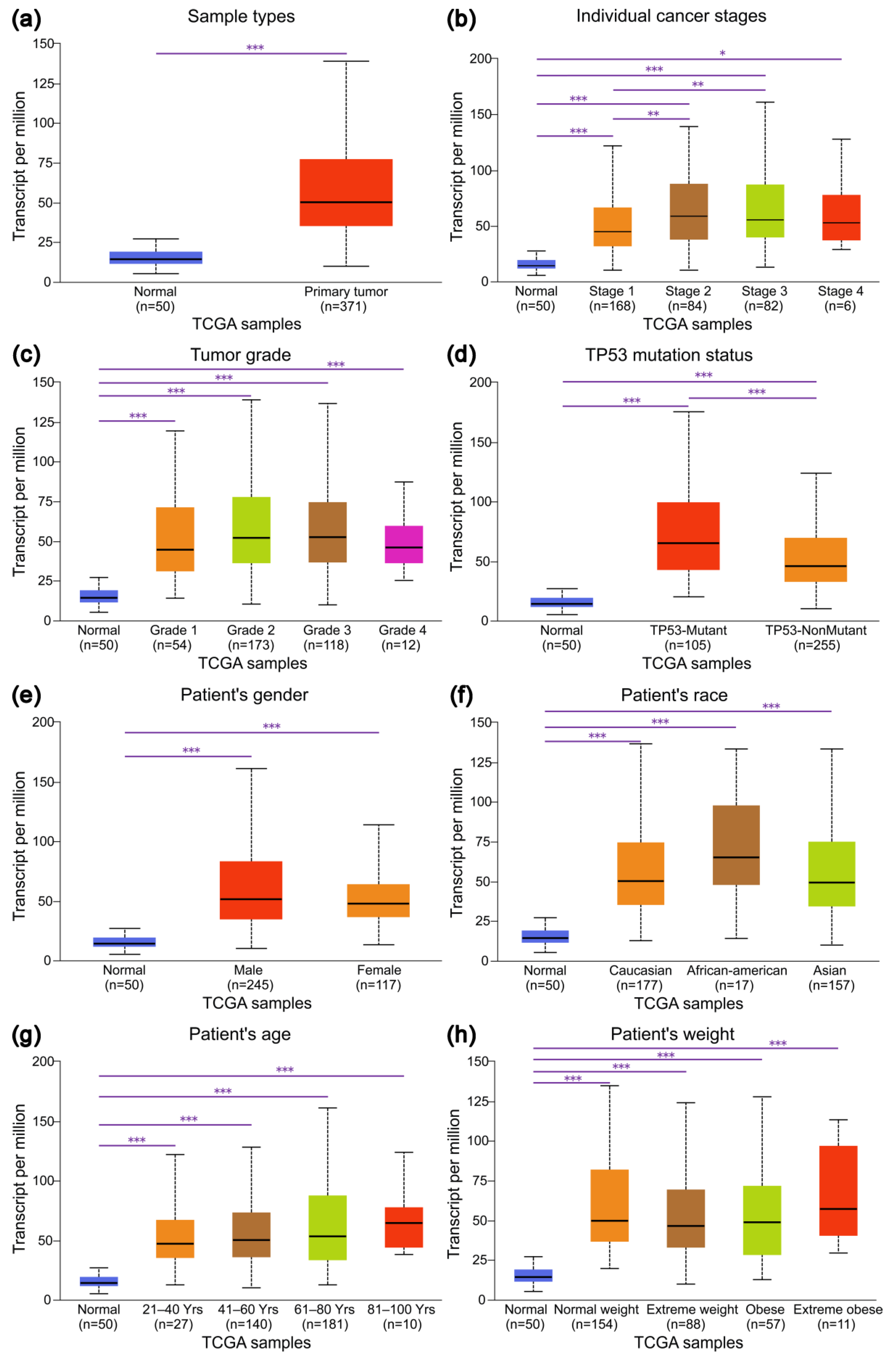 Curroncol 29 00700 g002