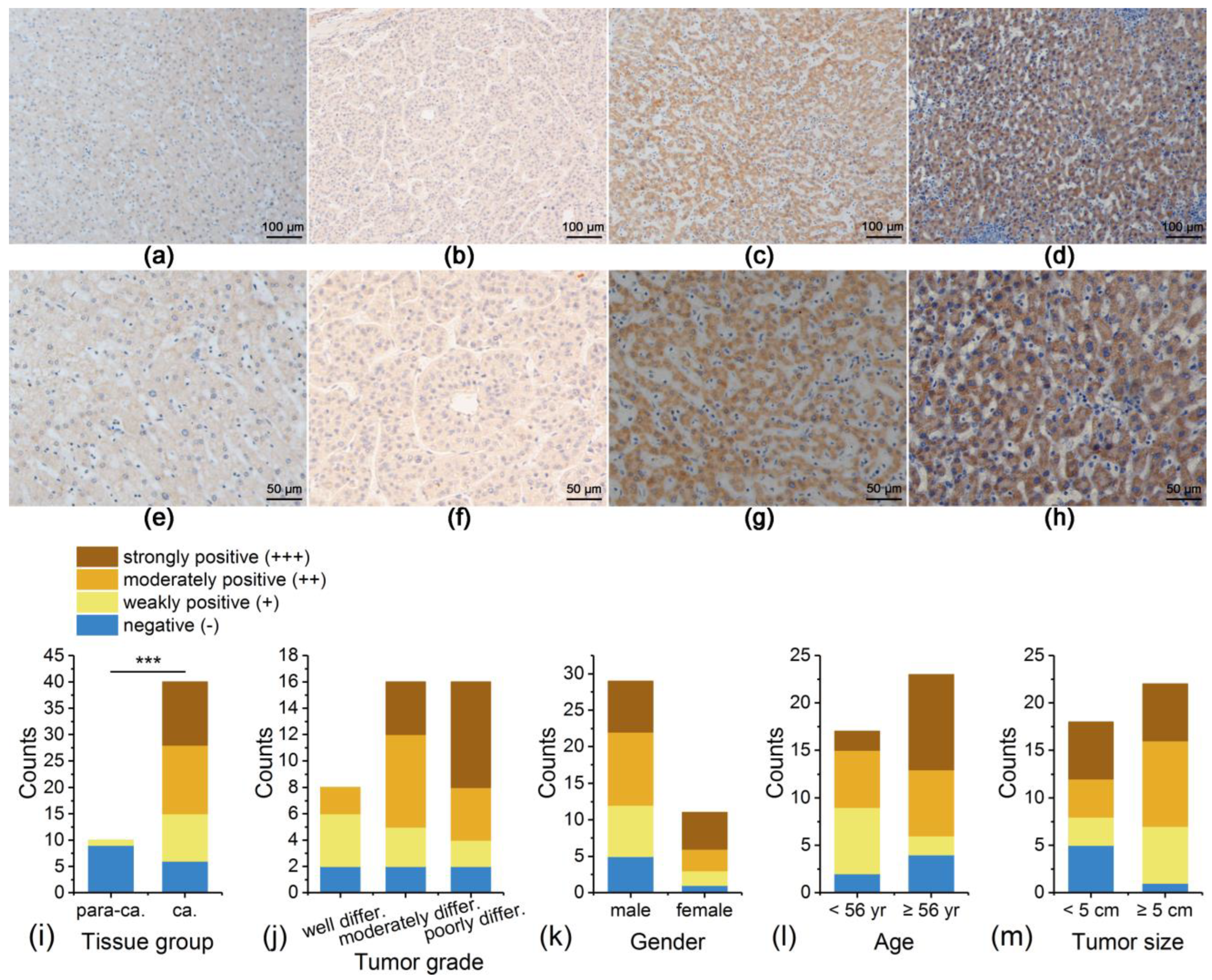 Curroncol 29 00700 g004