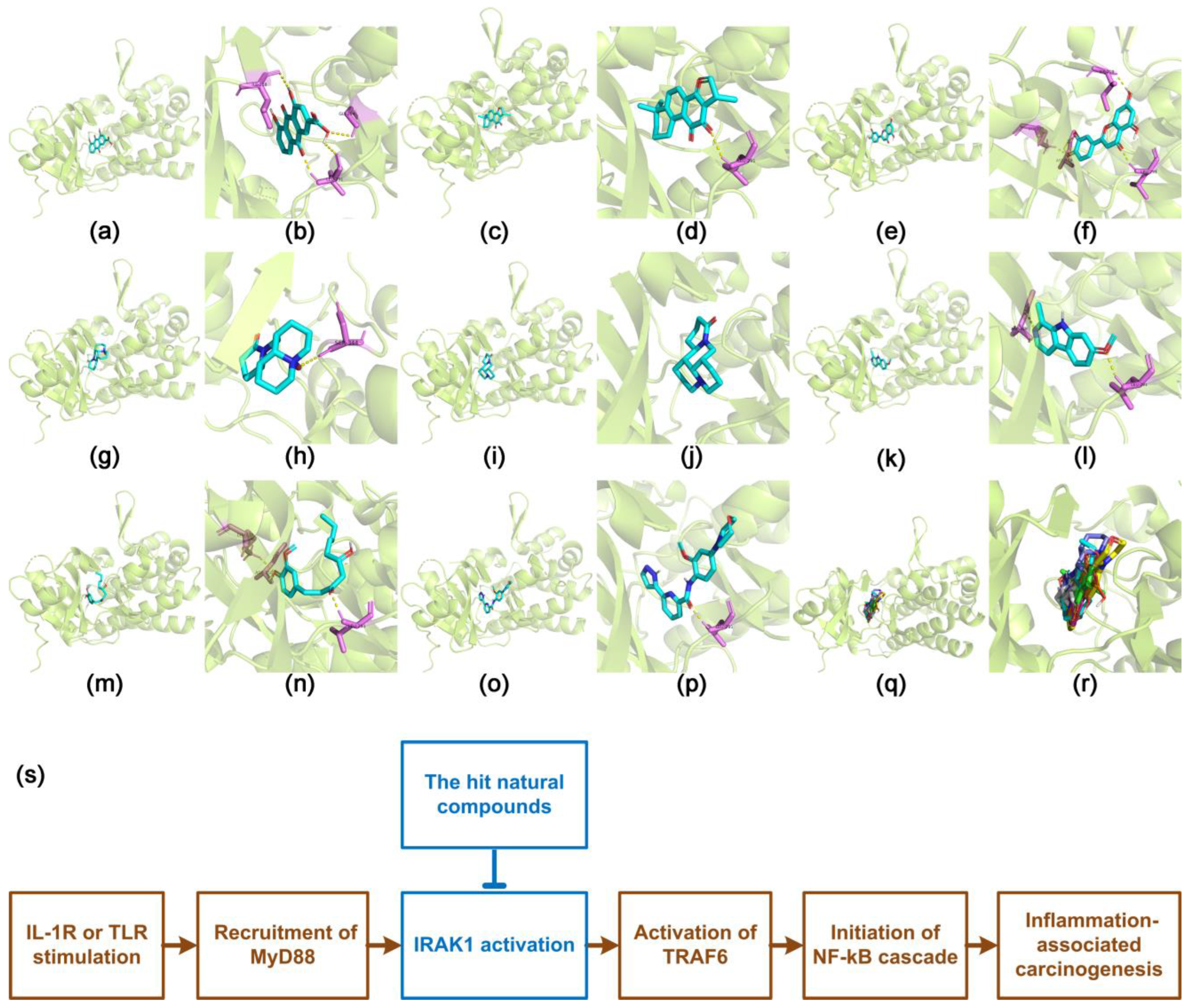 Curroncol 29 00700 g005