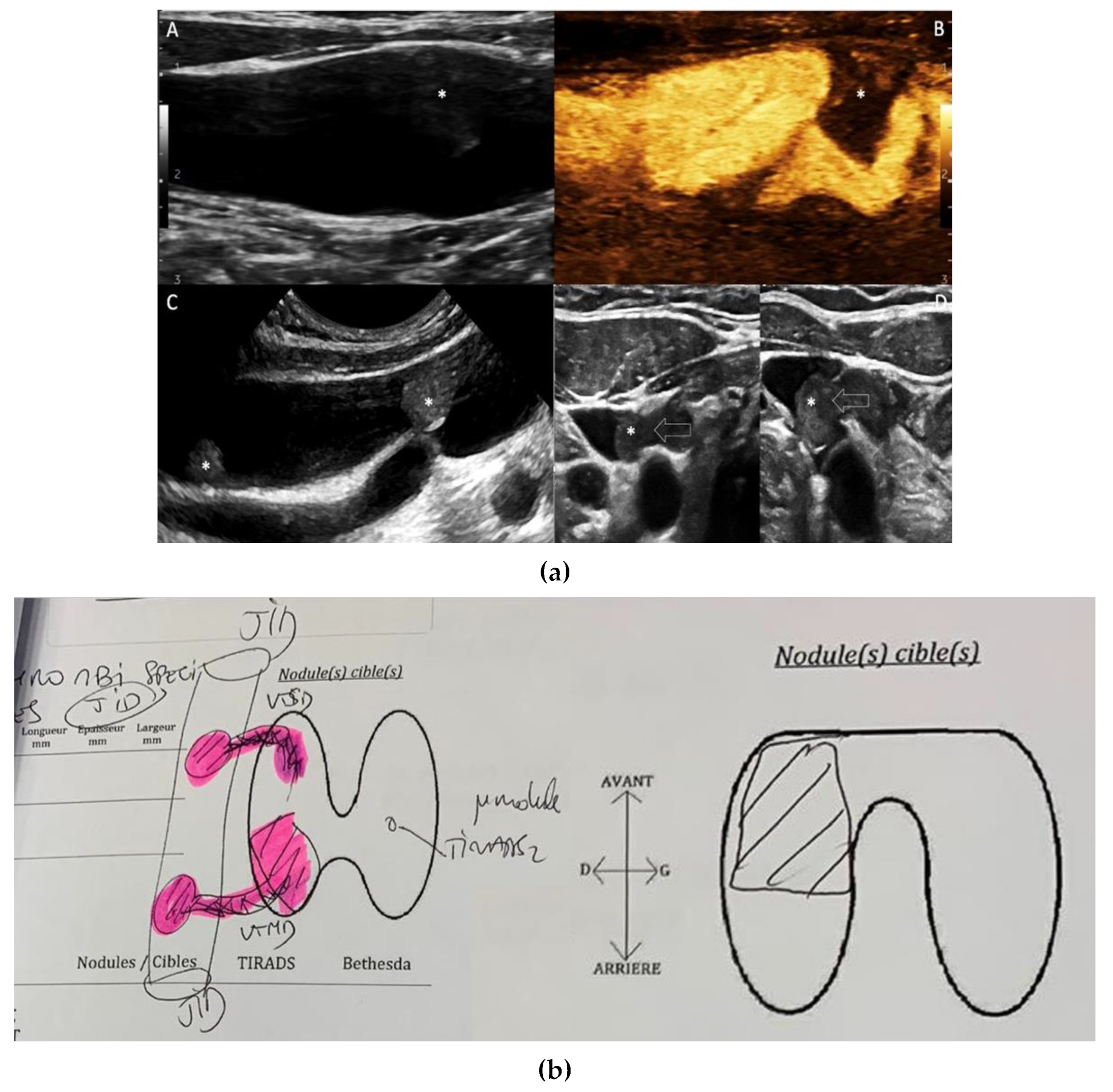 Curroncol 29 00723 g002 Curroncol 29 00723 g002
