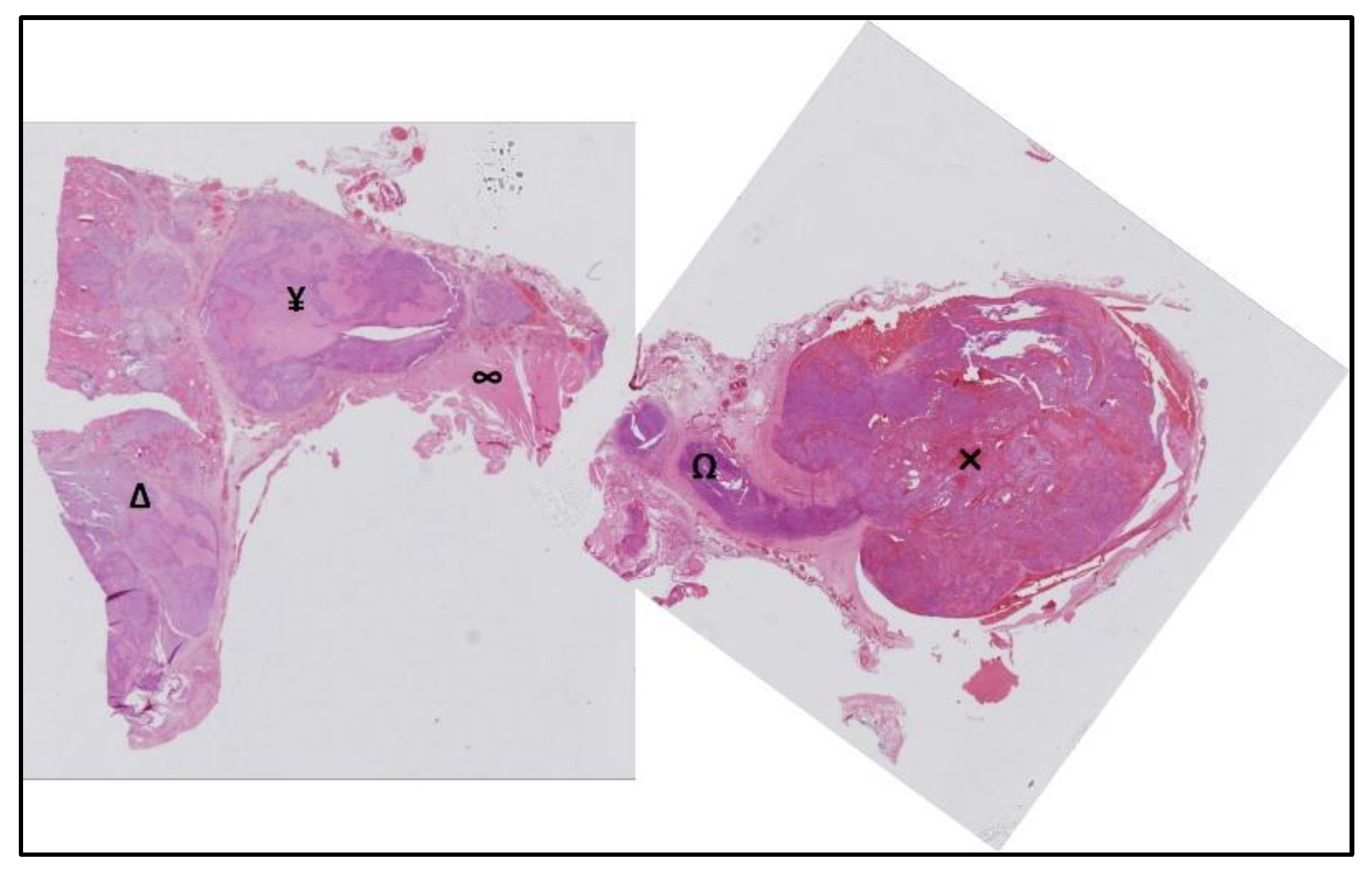 Curroncol 29 00723 g004 Curroncol 29 00723 g004