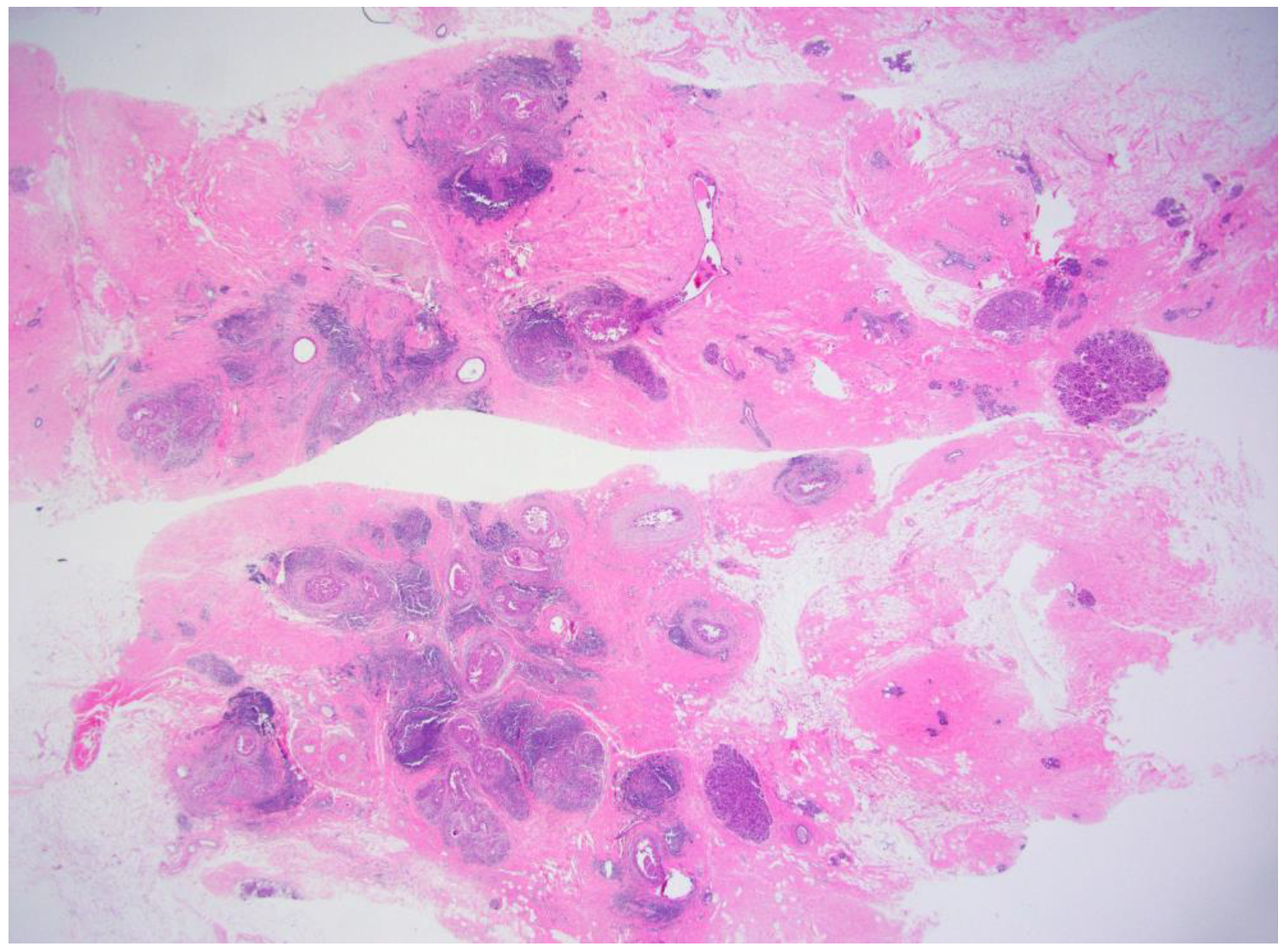 Curroncol 29 00734 g001