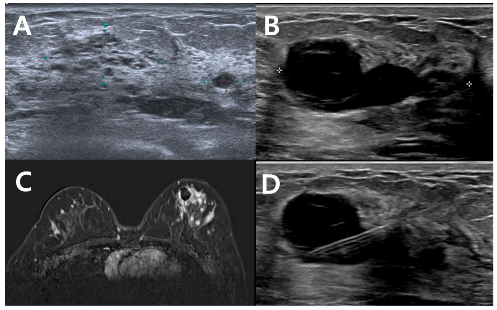 Curroncol 29 00734 g002