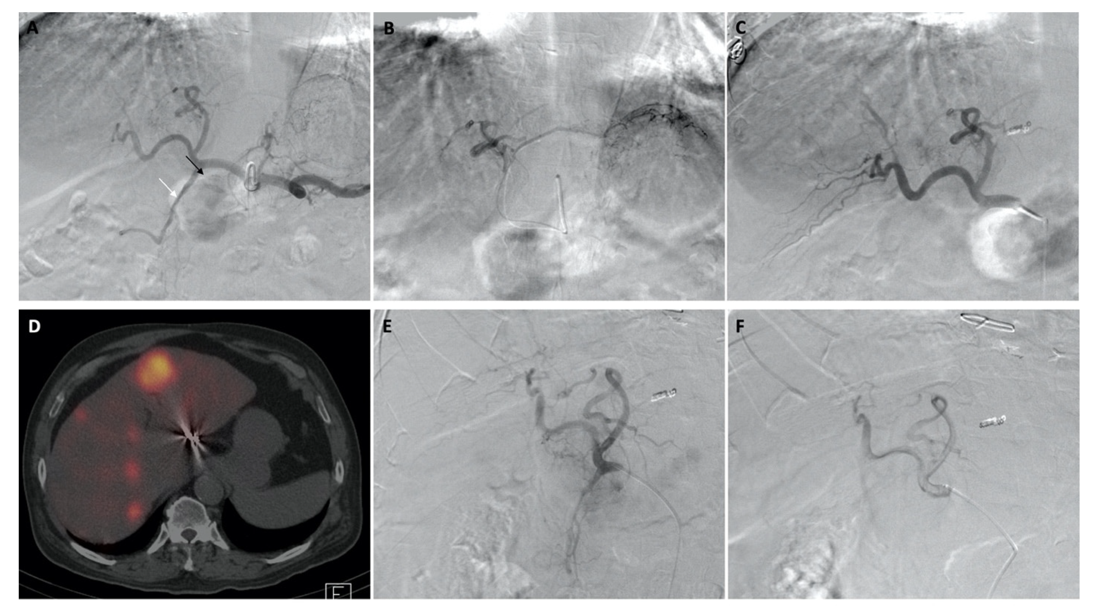 Curroncol 29 00753 g001