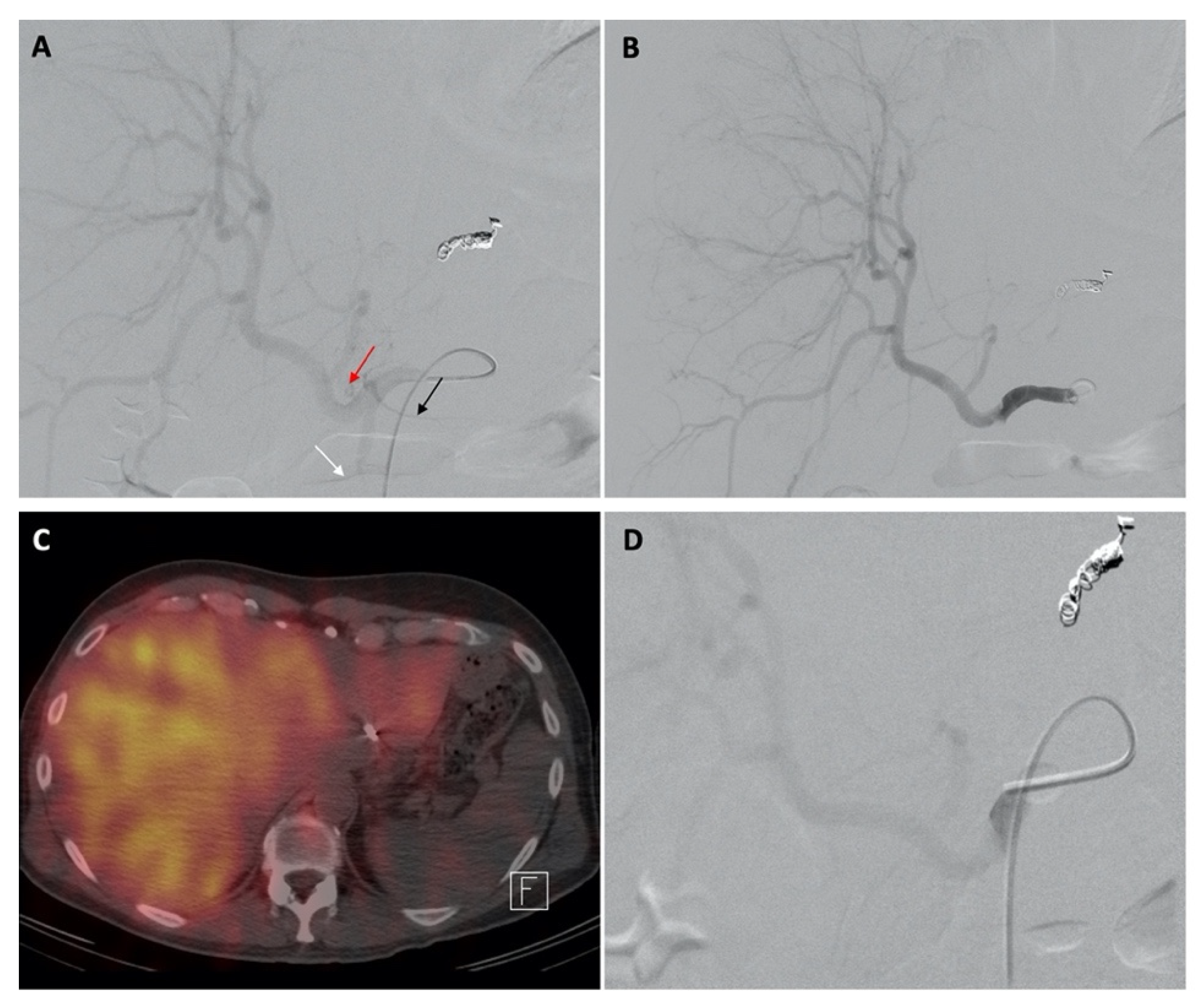 Curroncol 29 00753 g002