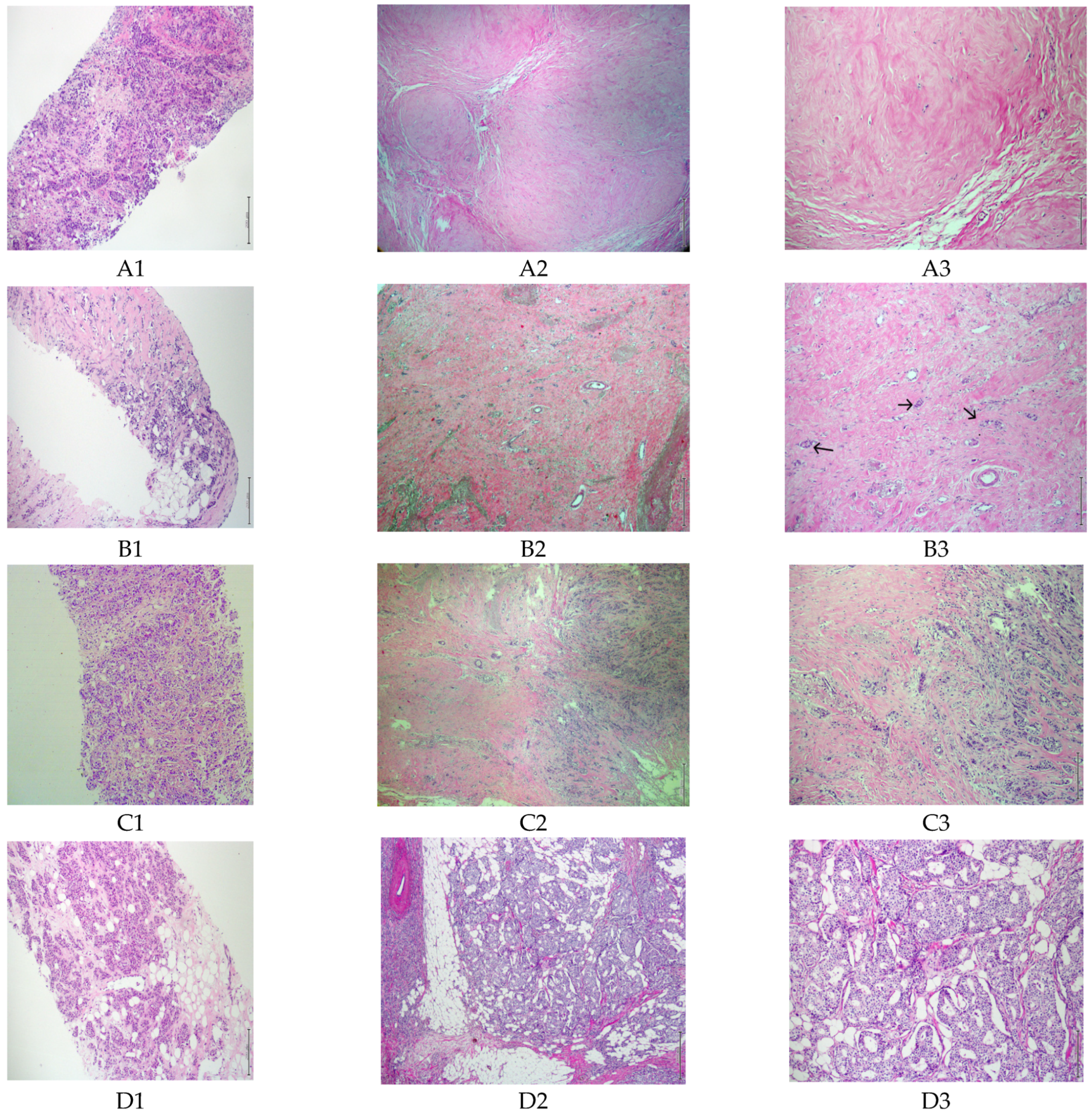 Curroncol 29 00761 g002 Curroncol 29 00761 g002