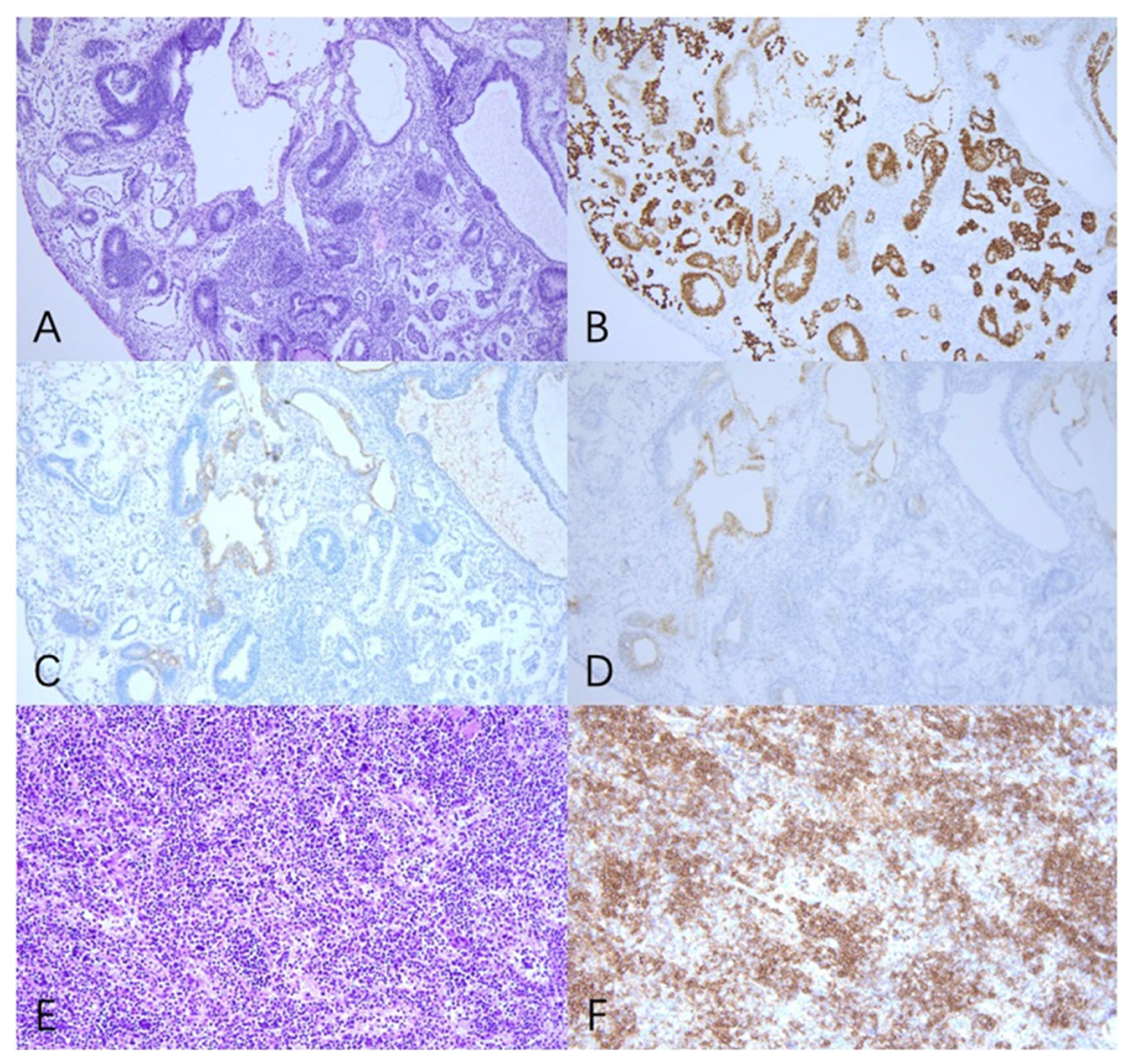 Curroncol 29 00766 g002