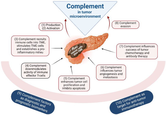 Complement and Fungal Dysbiosis as Prognostic Markers and