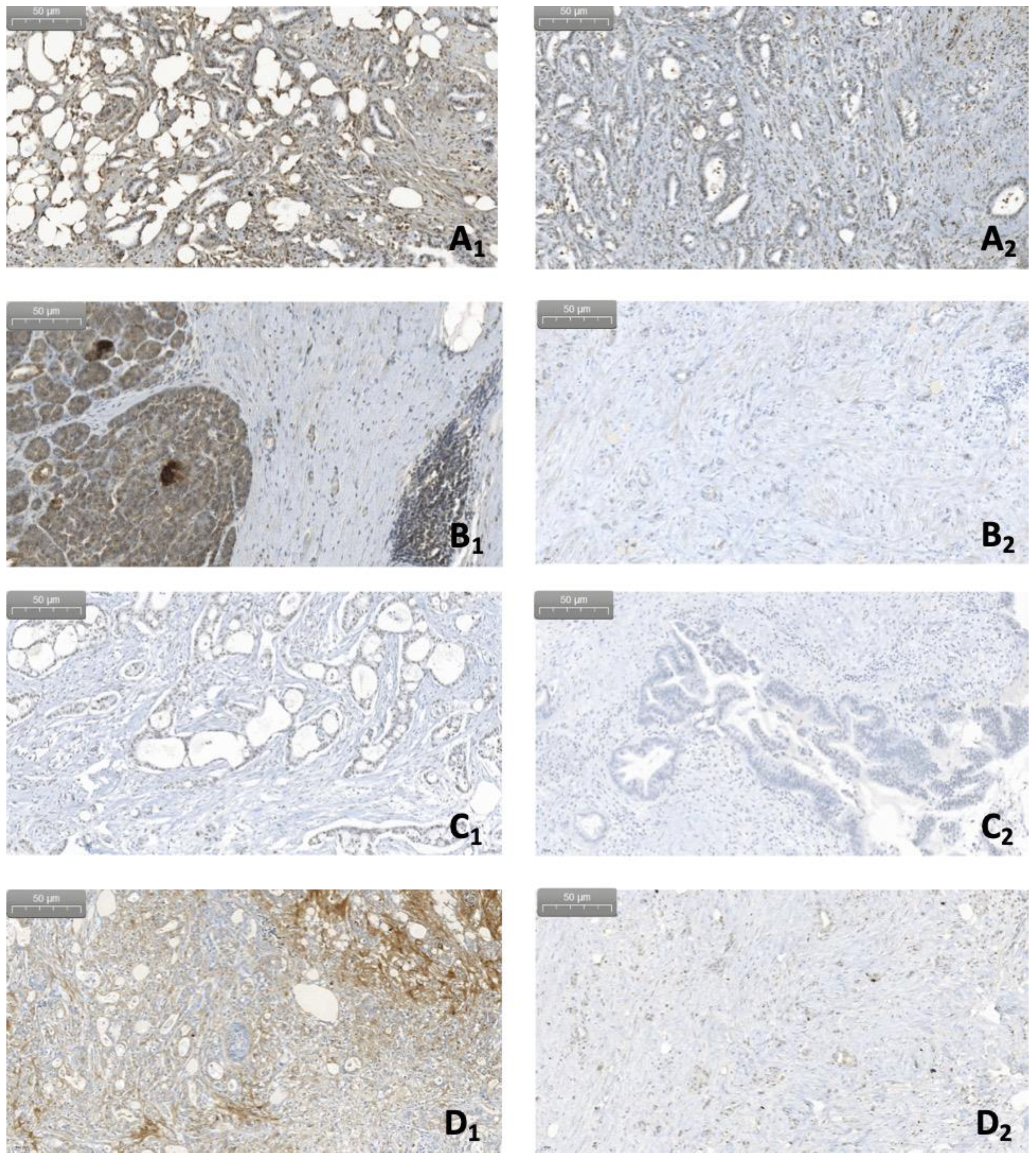 Curroncol 29 00773 g006 Curroncol 29 00773 g006