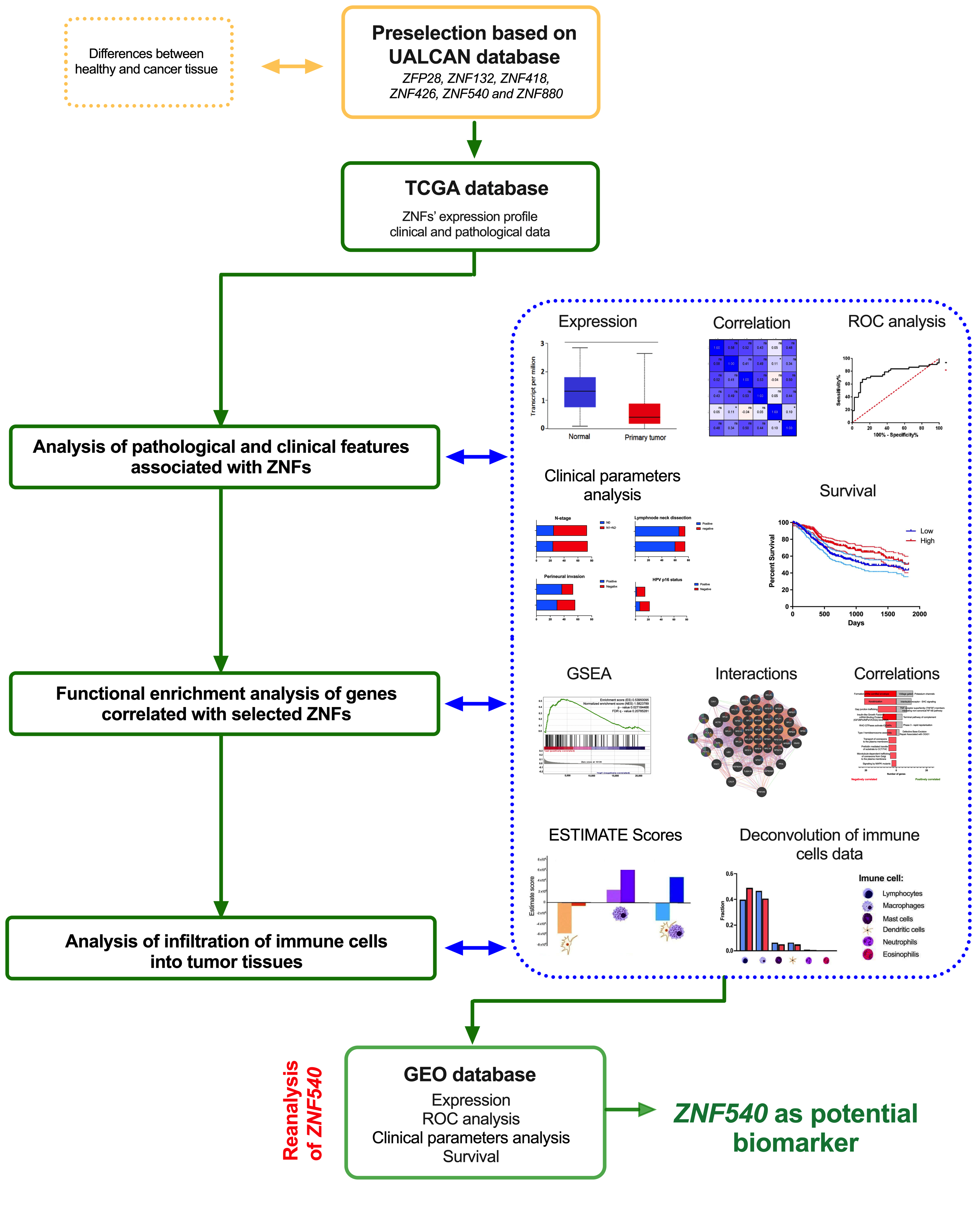 Curroncol 29 00779 g001 Curroncol 29 00779 g001