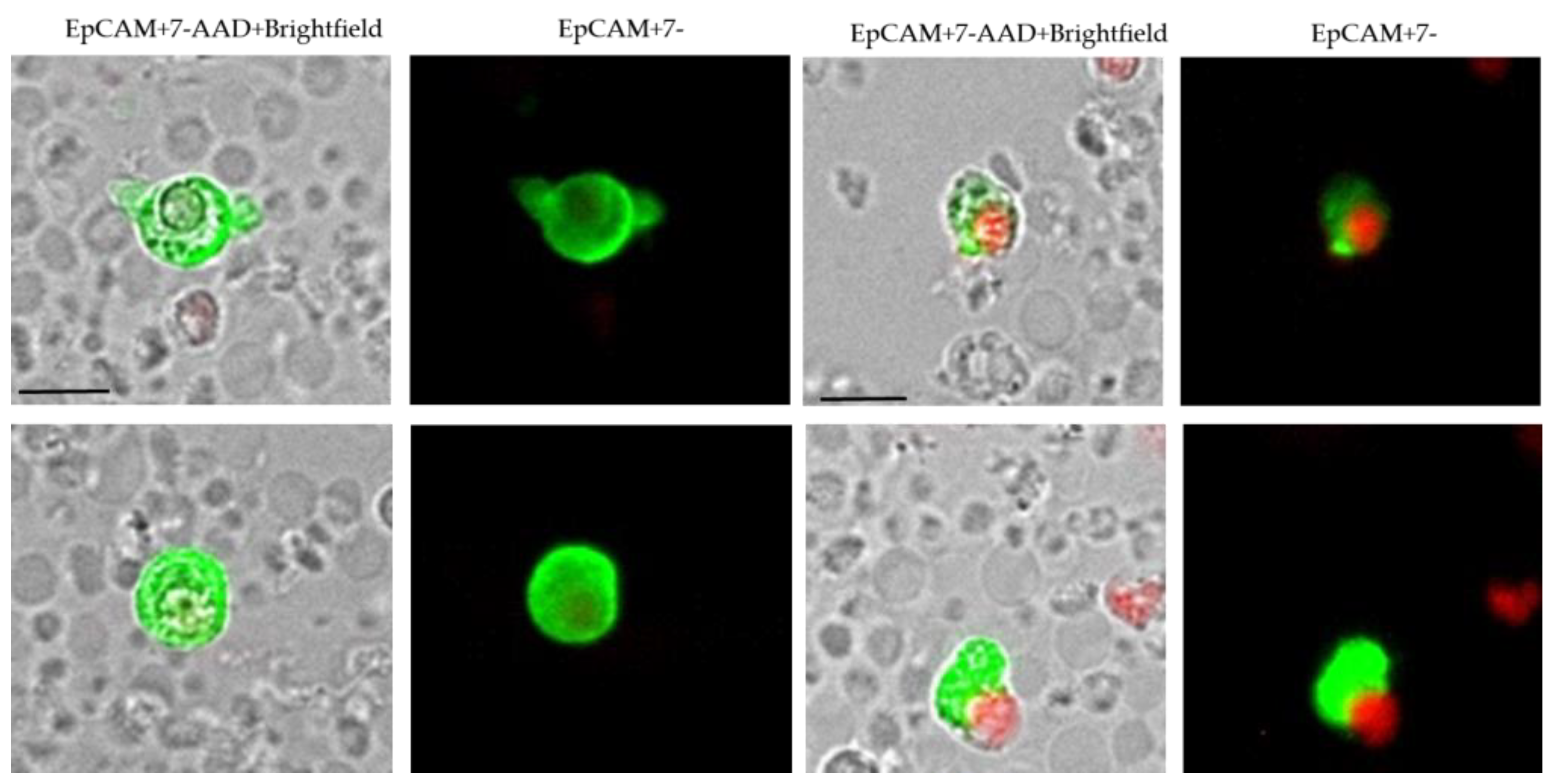 Curroncol 30 00021 g001 Curroncol 30 00021 g001