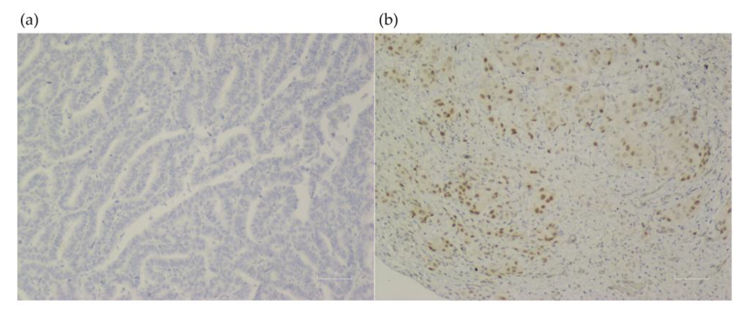Curroncol 30 00027 g001 Curroncol 30 00027 g001