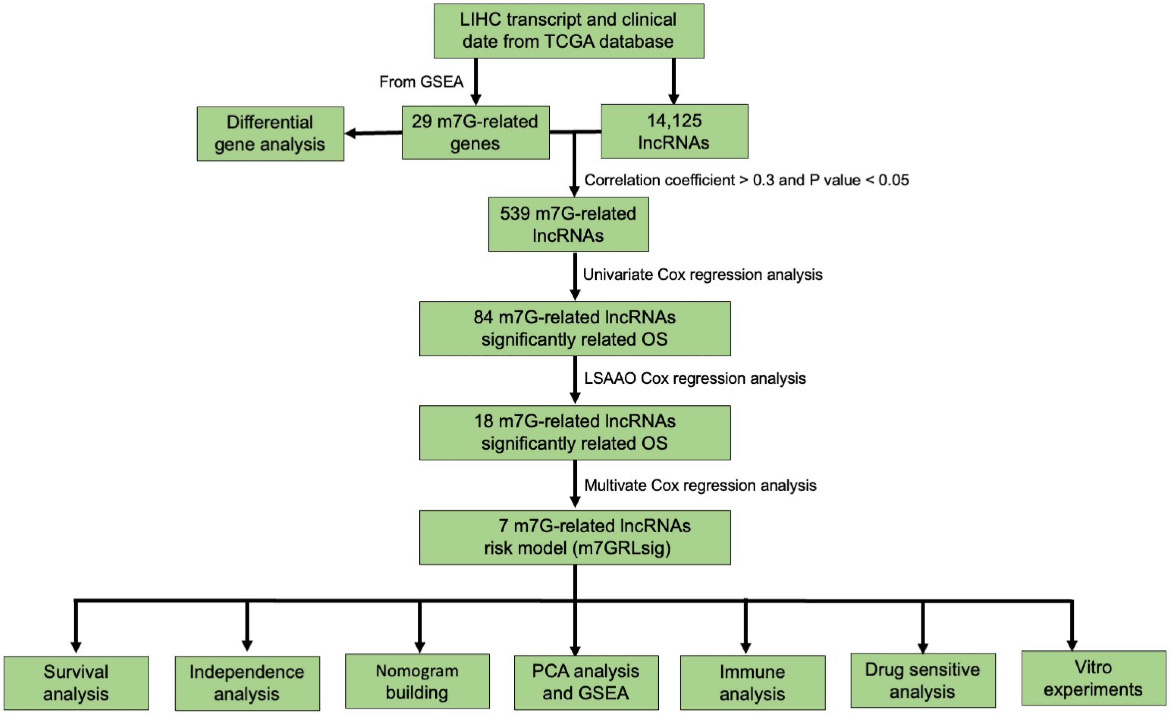 Identification of a Novel N7-Methylguanosine-Related LncRNA Identification of a Novel N7-Methylguanosine-Related LncRNA