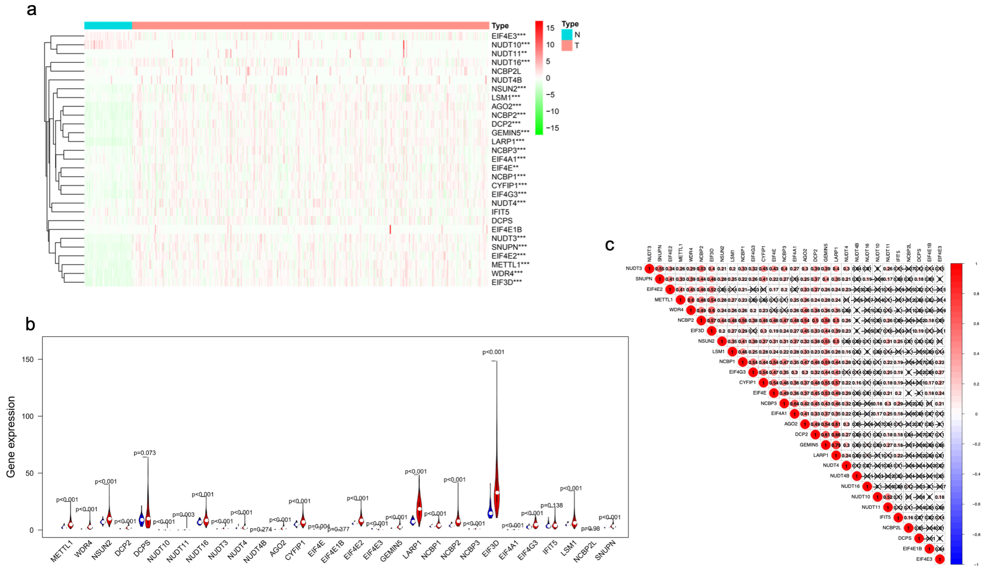 Identification of a Novel N7-Methylguanosine-Related LncRNA Identification of a Novel N7-Methylguanosine-Related LncRNA