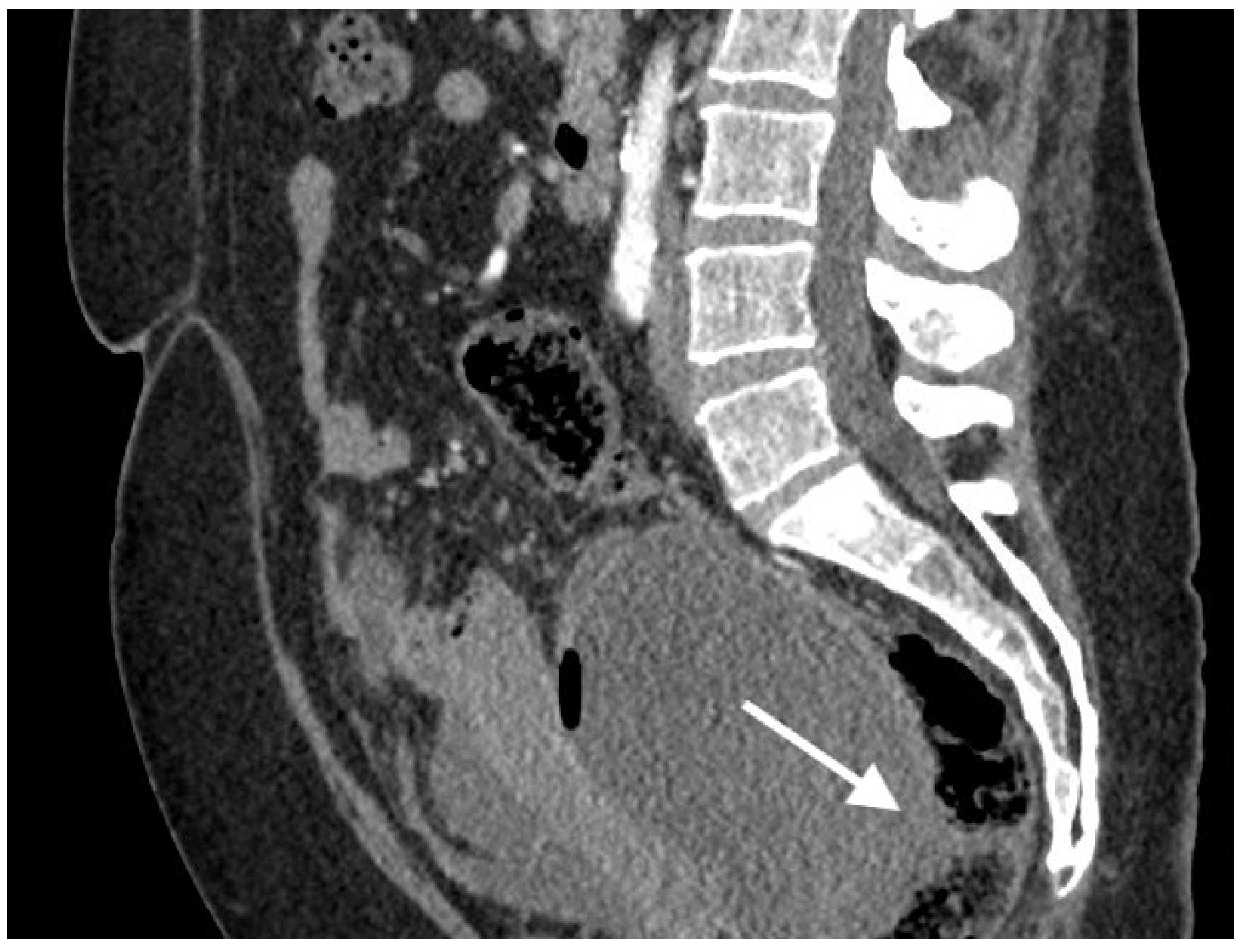 Curroncol 30 00040 g003