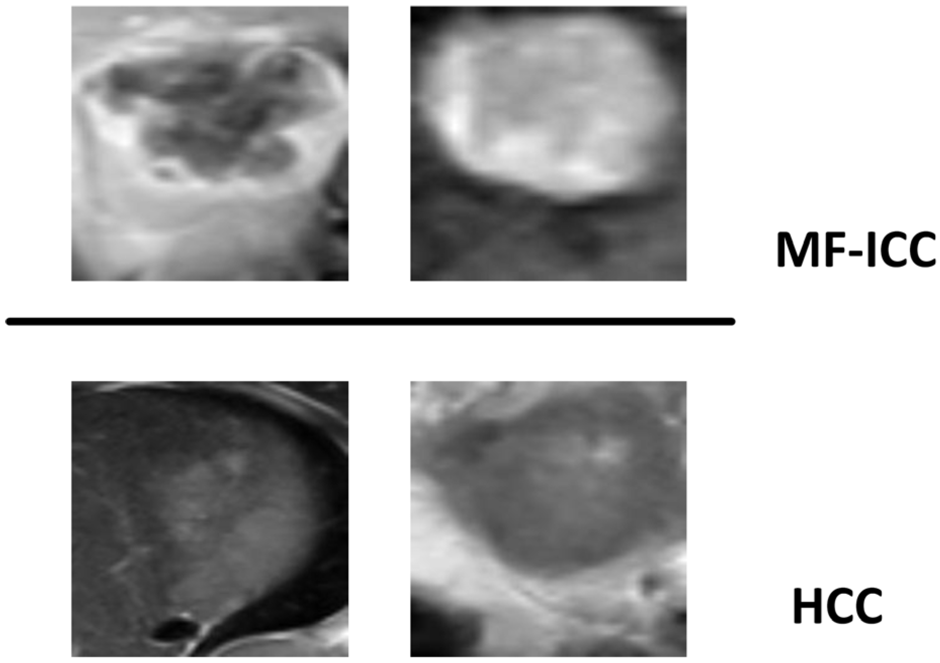 Curroncol 30 00042 g009 Curroncol 30 00042 g009