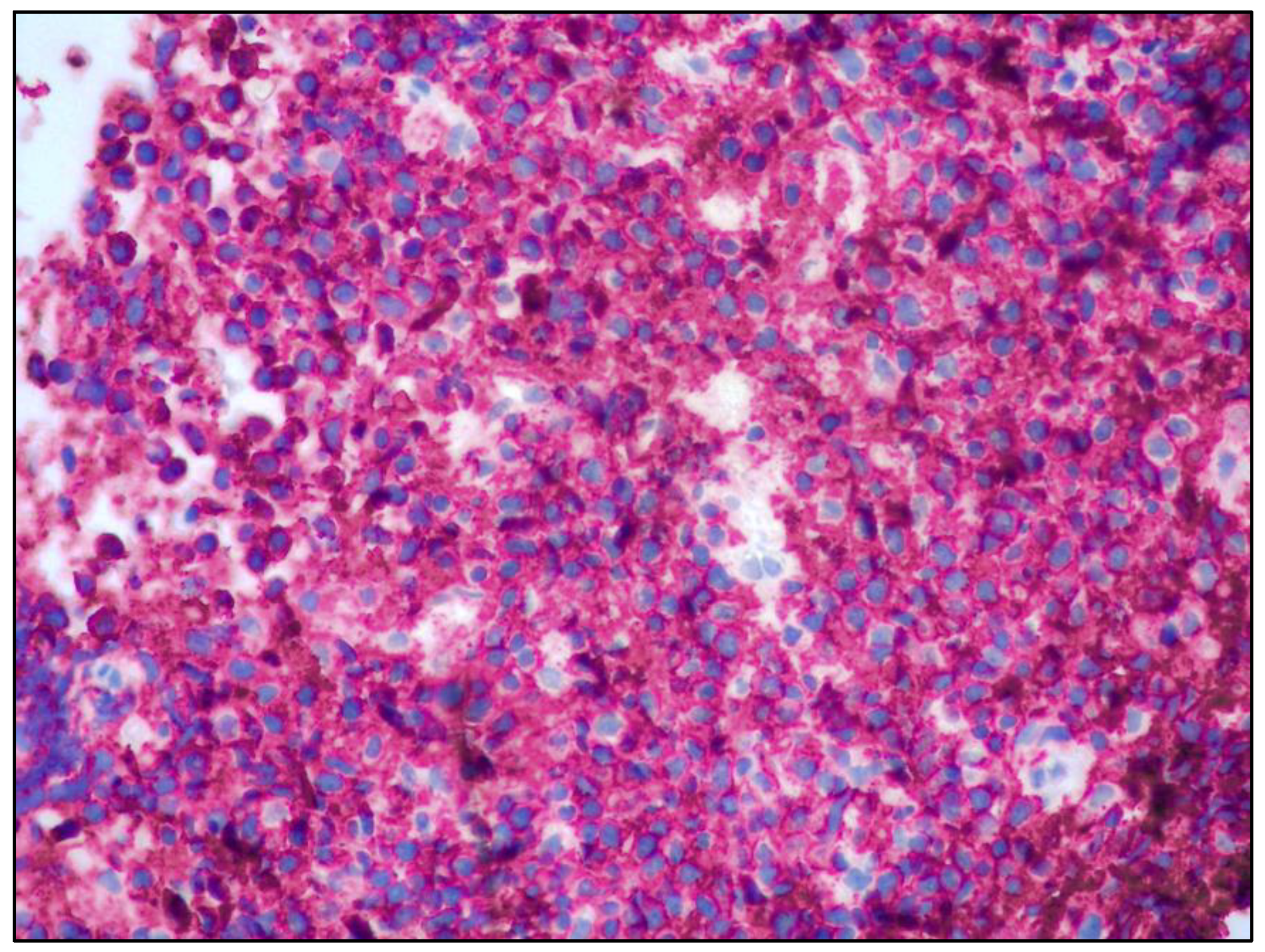 Curroncol 30 00062 g003 Curroncol 30 00062 g003