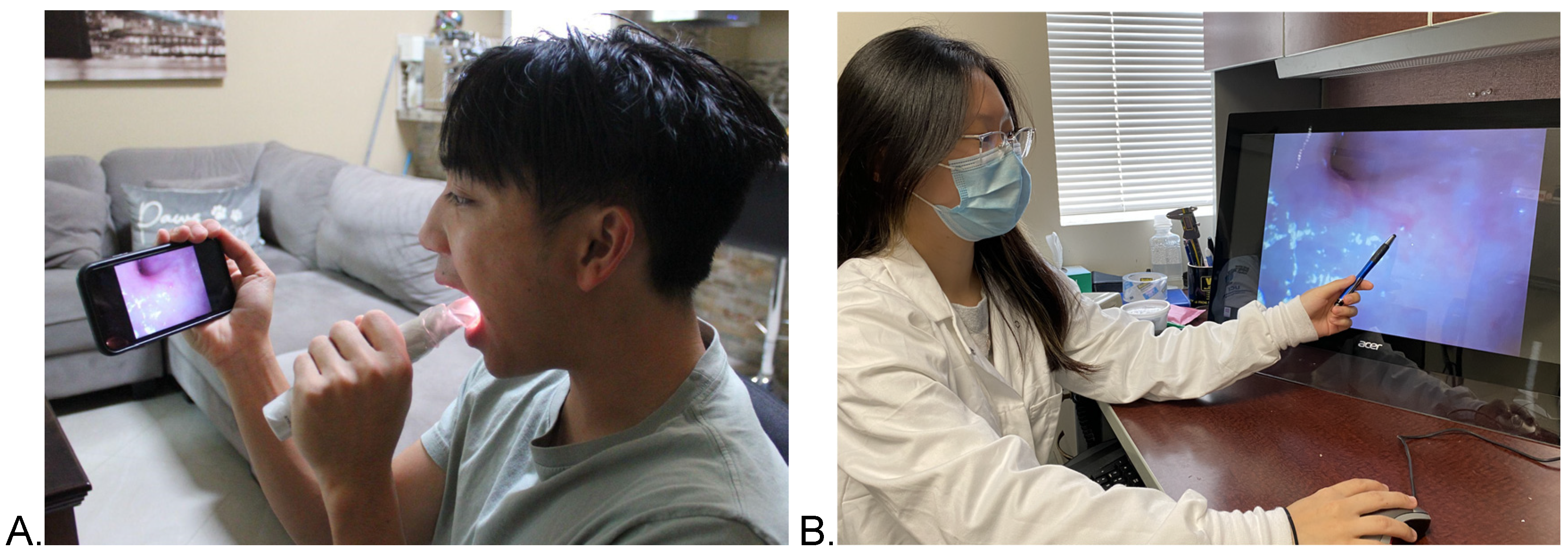 Curroncol 30 00080 g001 Curroncol 30 00080 g001