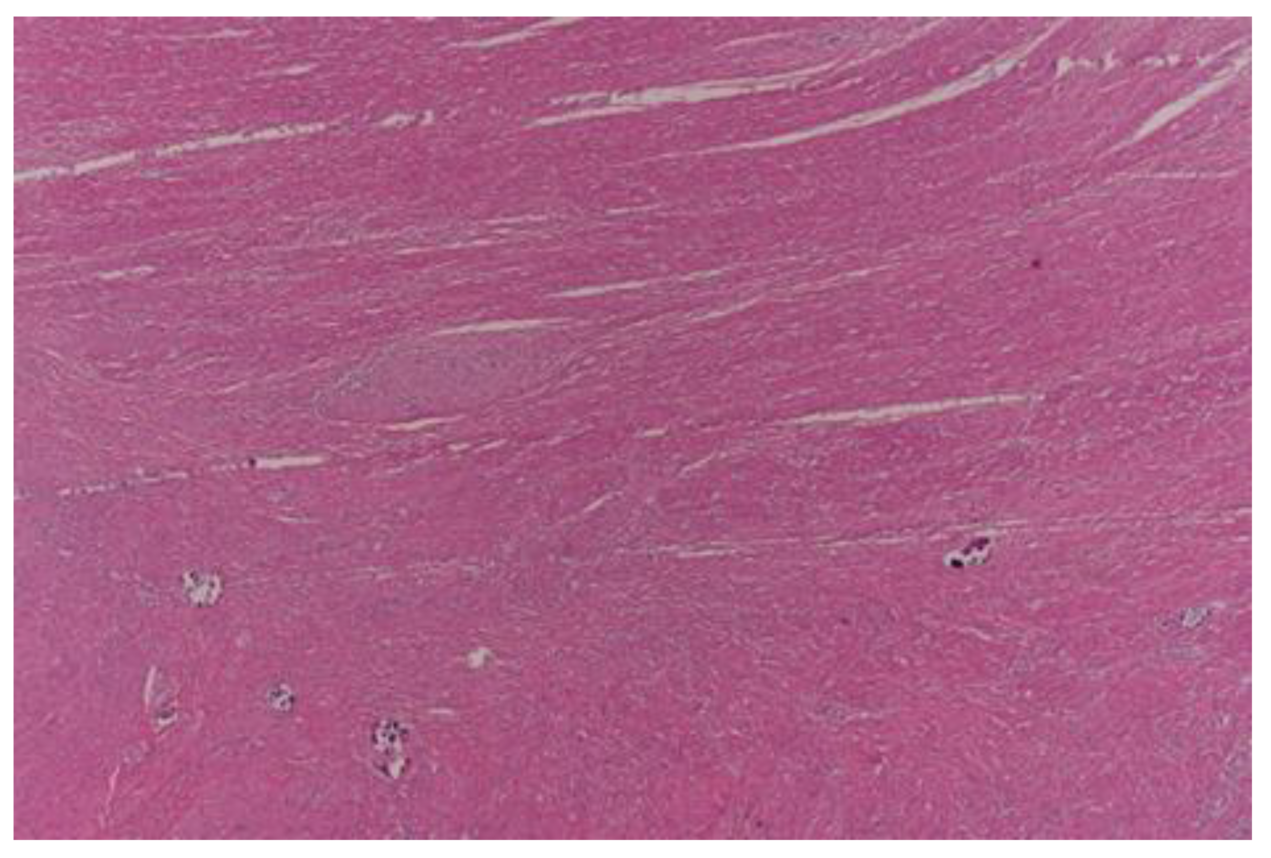 Curroncol 30 00081 g003 Curroncol 30 00081 g003