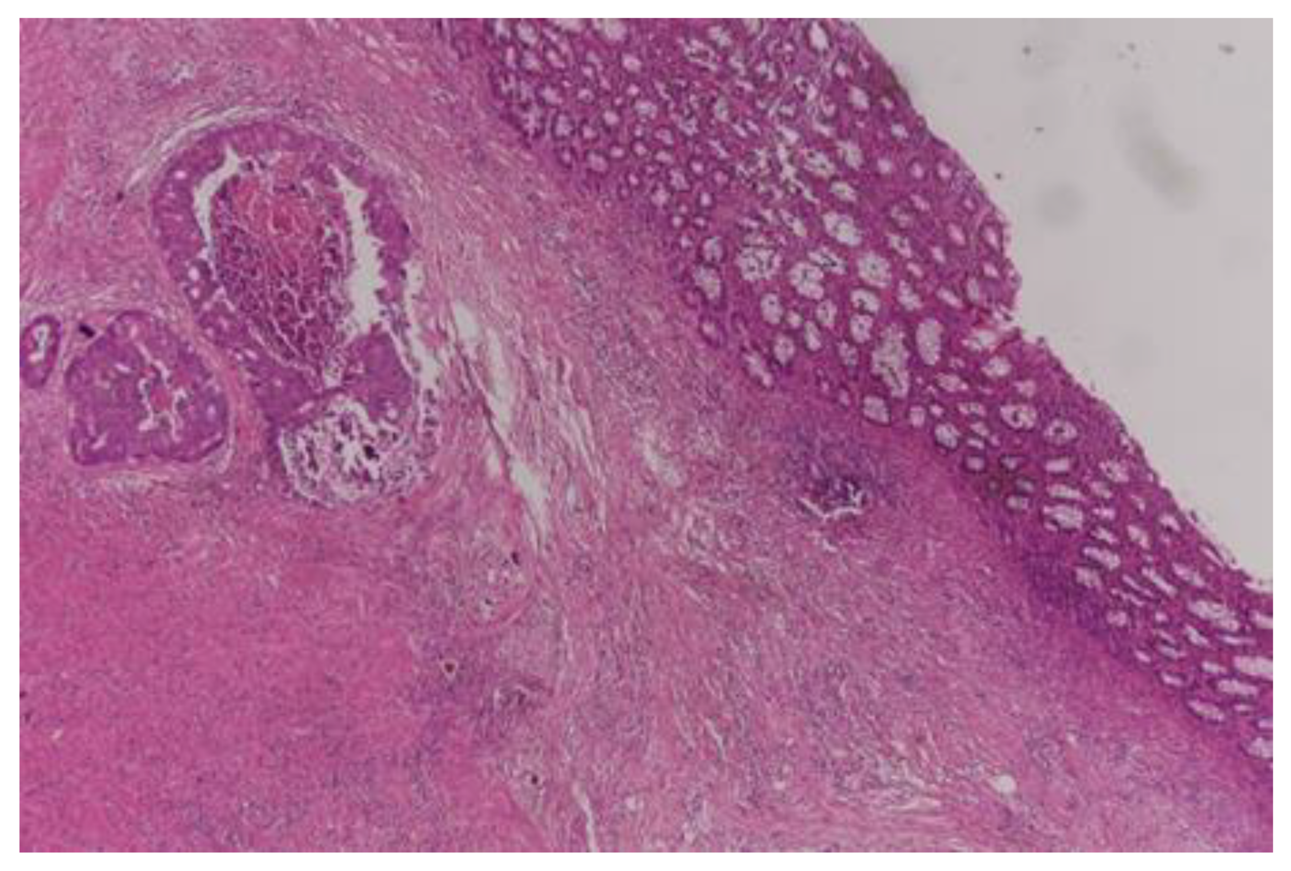 Curroncol 30 00081 g004 Curroncol 30 00081 g004