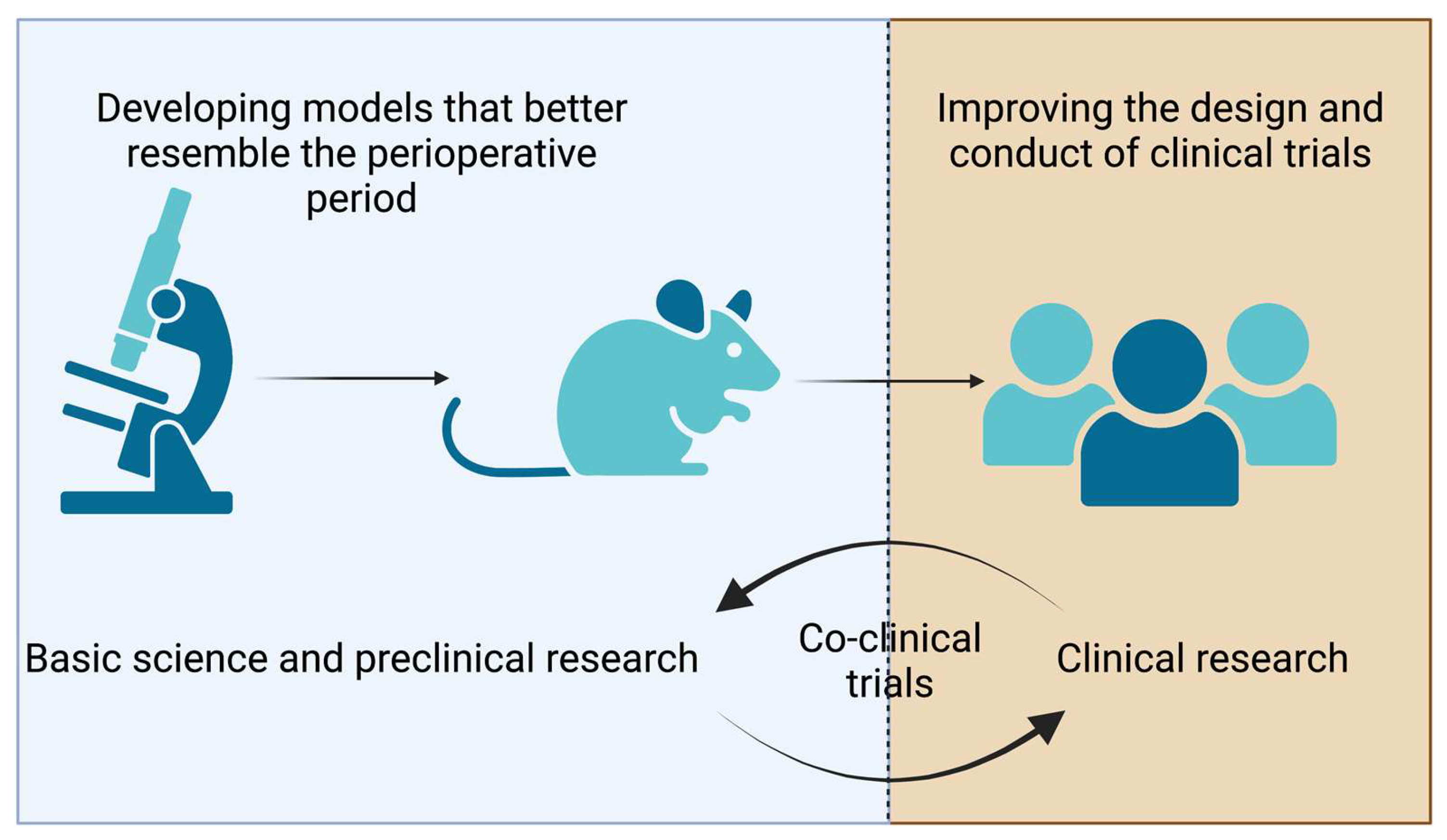 Curroncol 30 00091 g001 Curroncol 30 00091 g001