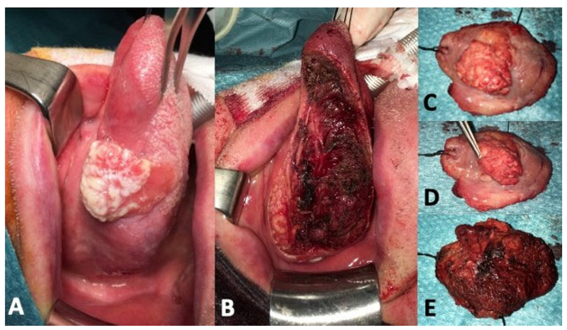 Curroncol 30 00104 g003