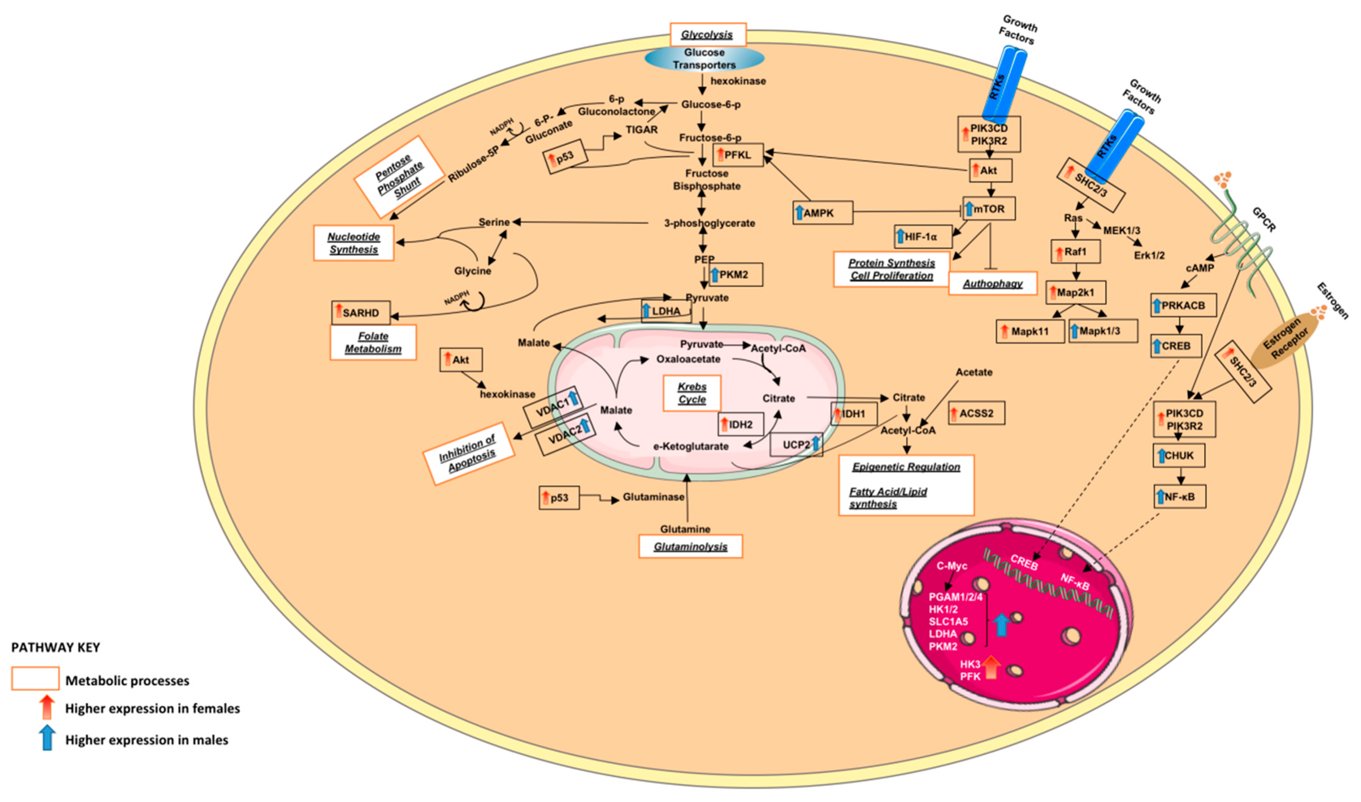 Curroncol 30 00107 g008 Curroncol 30 00107 g008