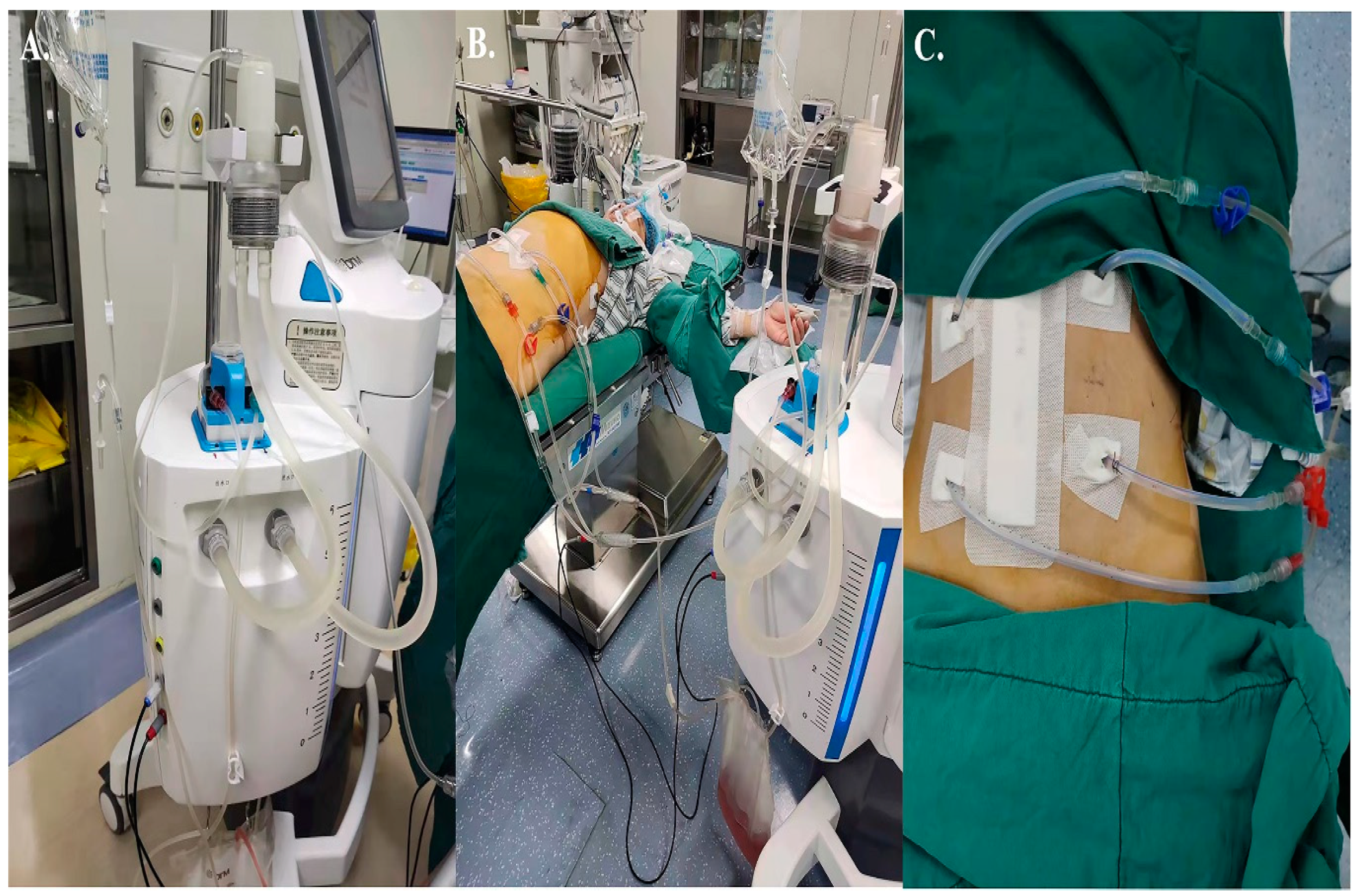 Curroncol 30 00114 g001