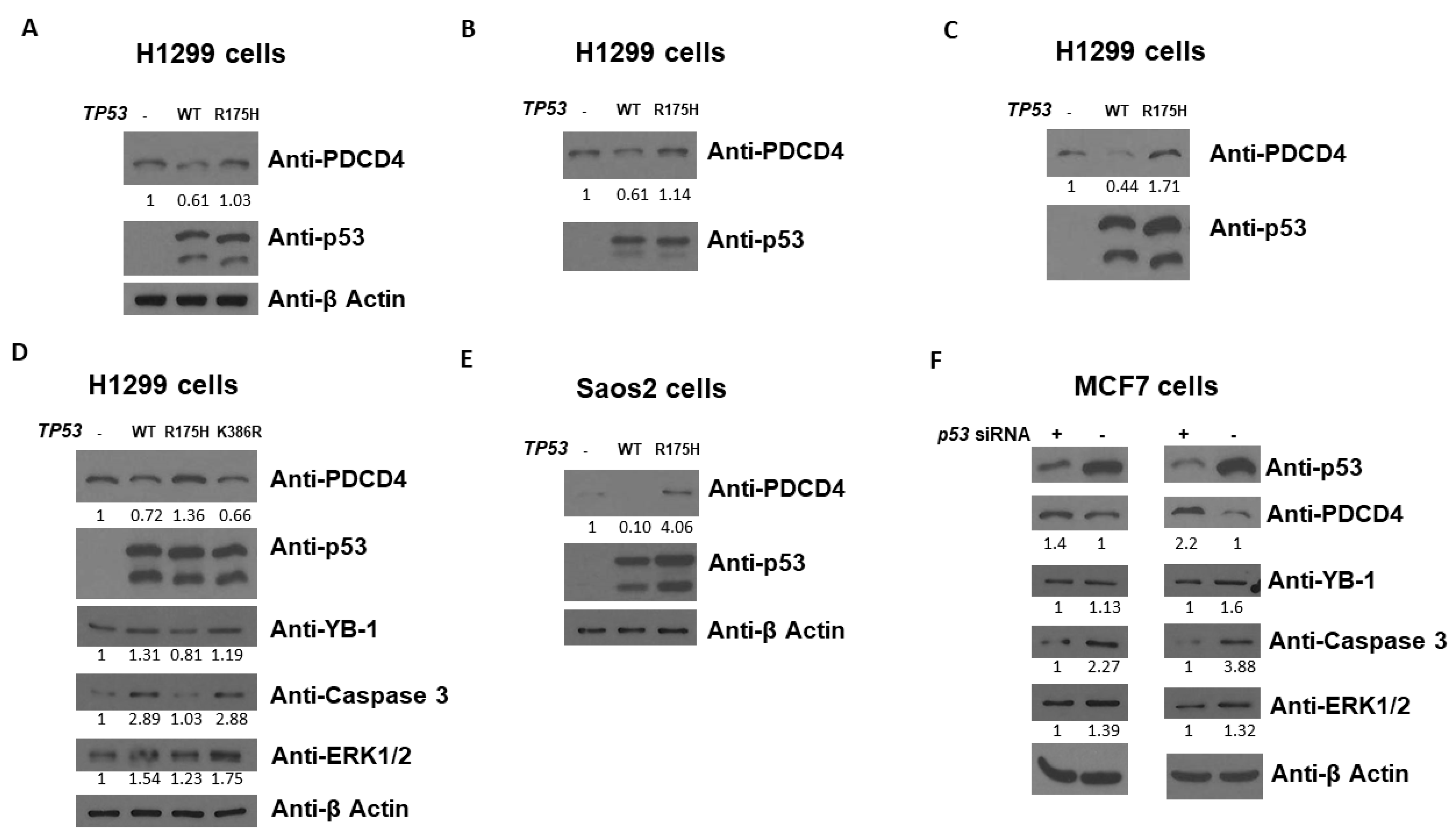 Curroncol 30 00124 g001 Curroncol 30 00124 g001
