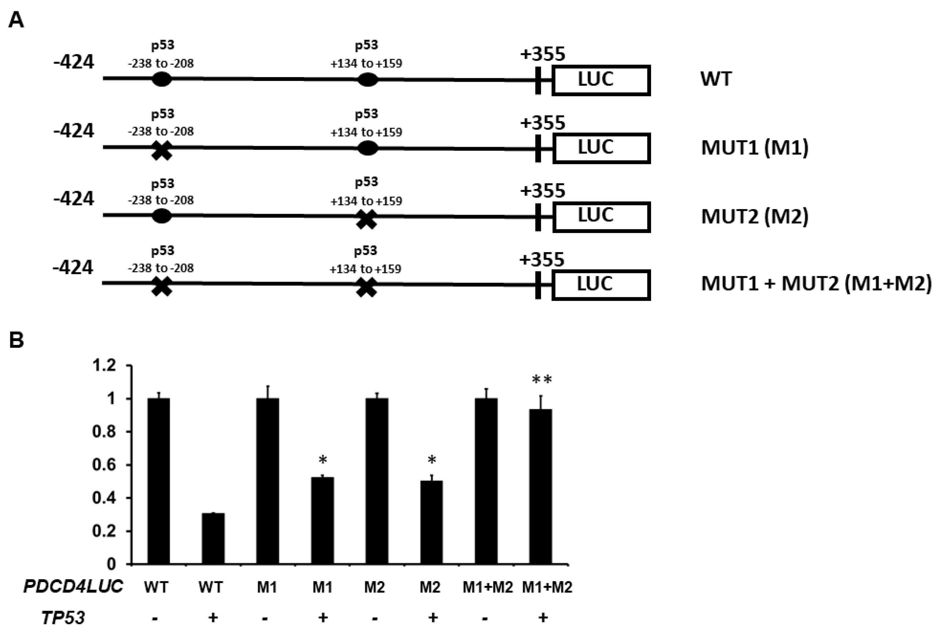 Curroncol 30 00124 g004 Curroncol 30 00124 g004