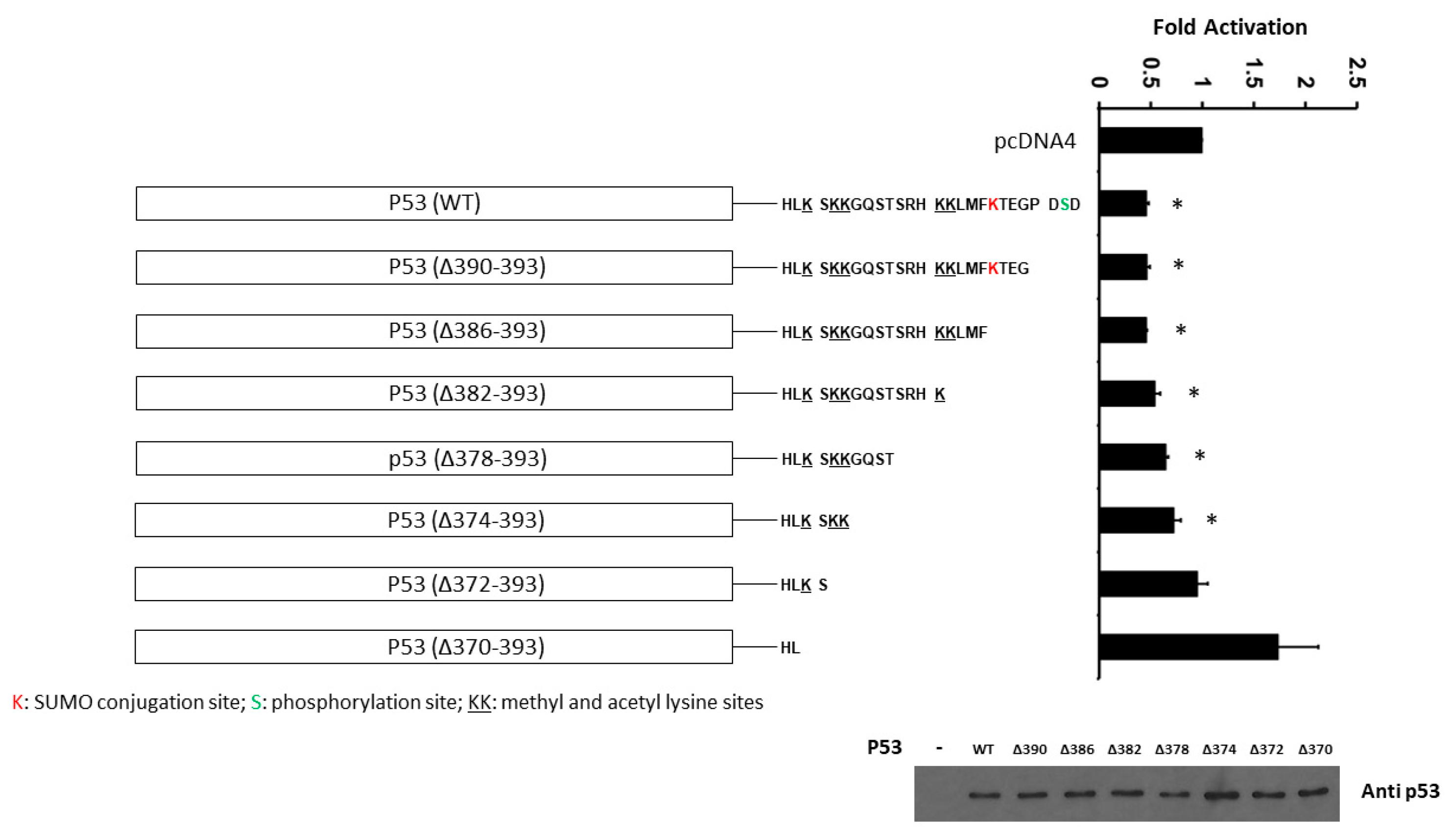 Curroncol 30 00124 g006 Curroncol 30 00124 g006