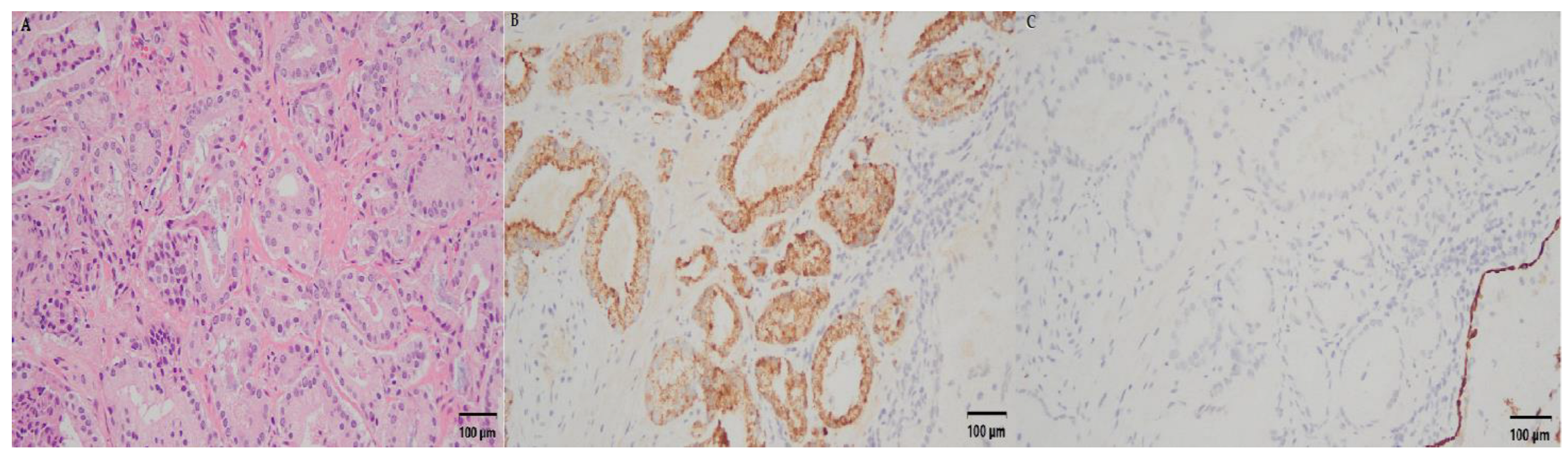 Curroncol 30 00131 g007 Curroncol 30 00131 g007