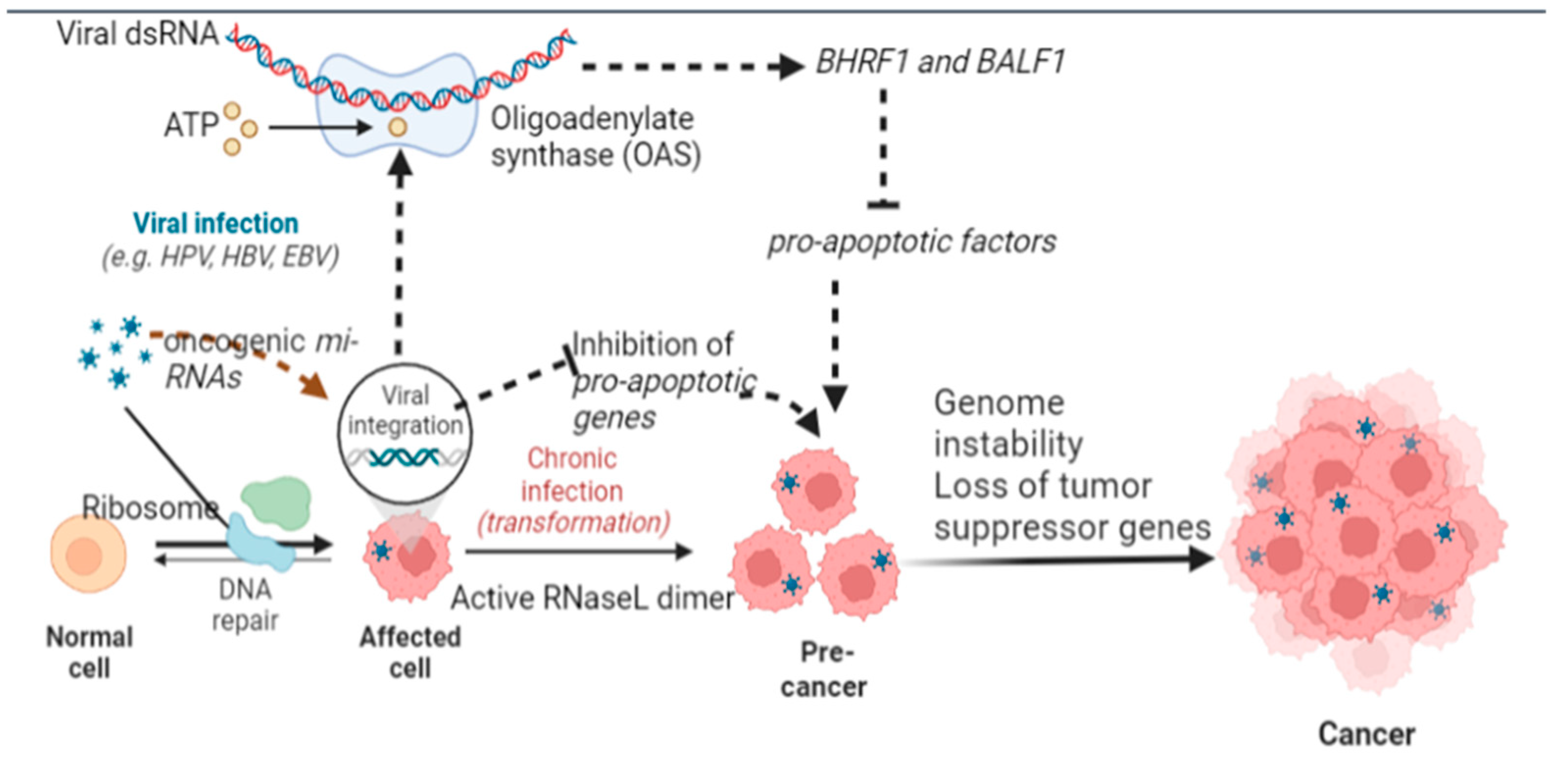 Current Oncology Free Full Text Insight Into Oncogenic Viral viral-diseases-causes-symptoms-and-treatment