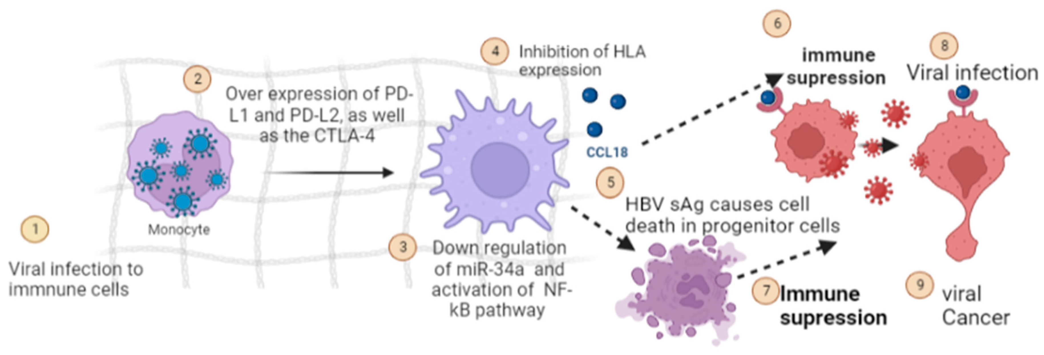 Curroncol 30 00150 g004 Curroncol 30 00150 g004