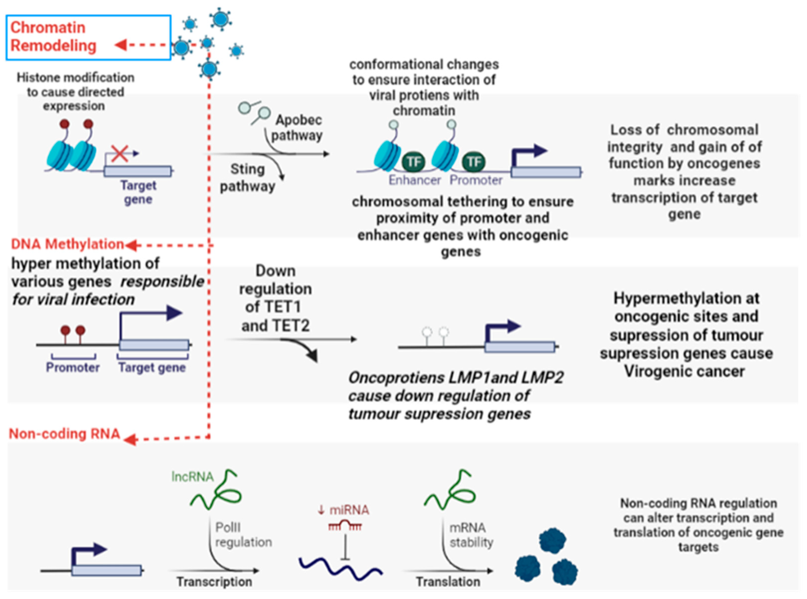Curroncol 30 00150 g006 Curroncol 30 00150 g006