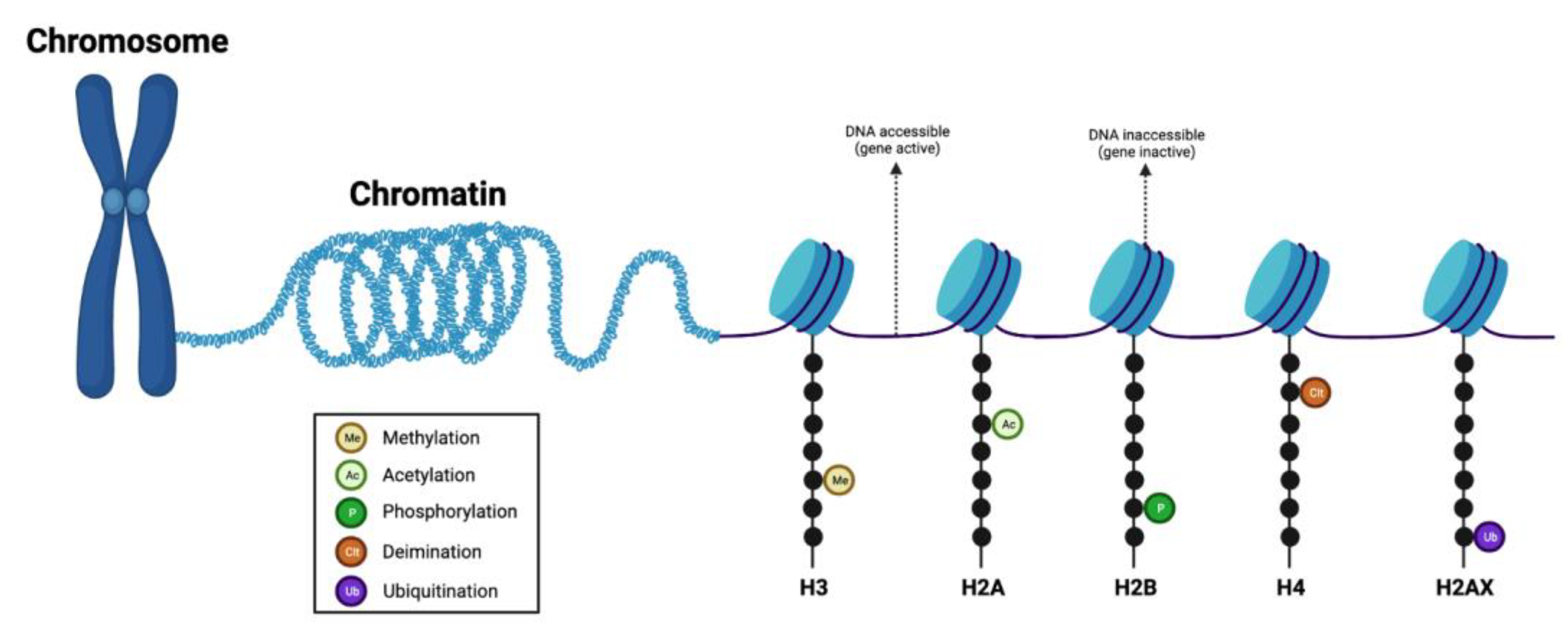 Curroncol 30 00164 g002