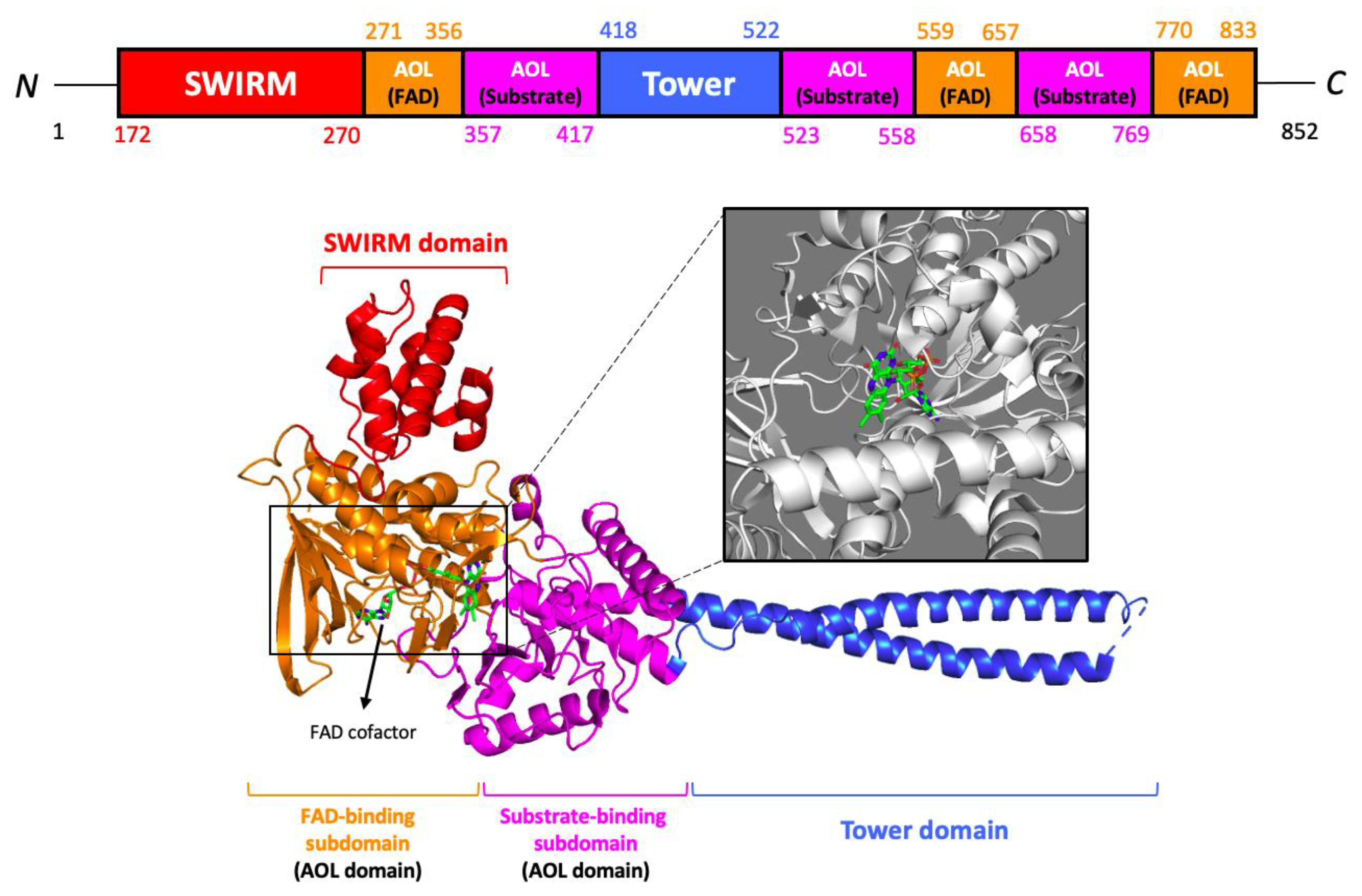 Curroncol 30 00164 g004
