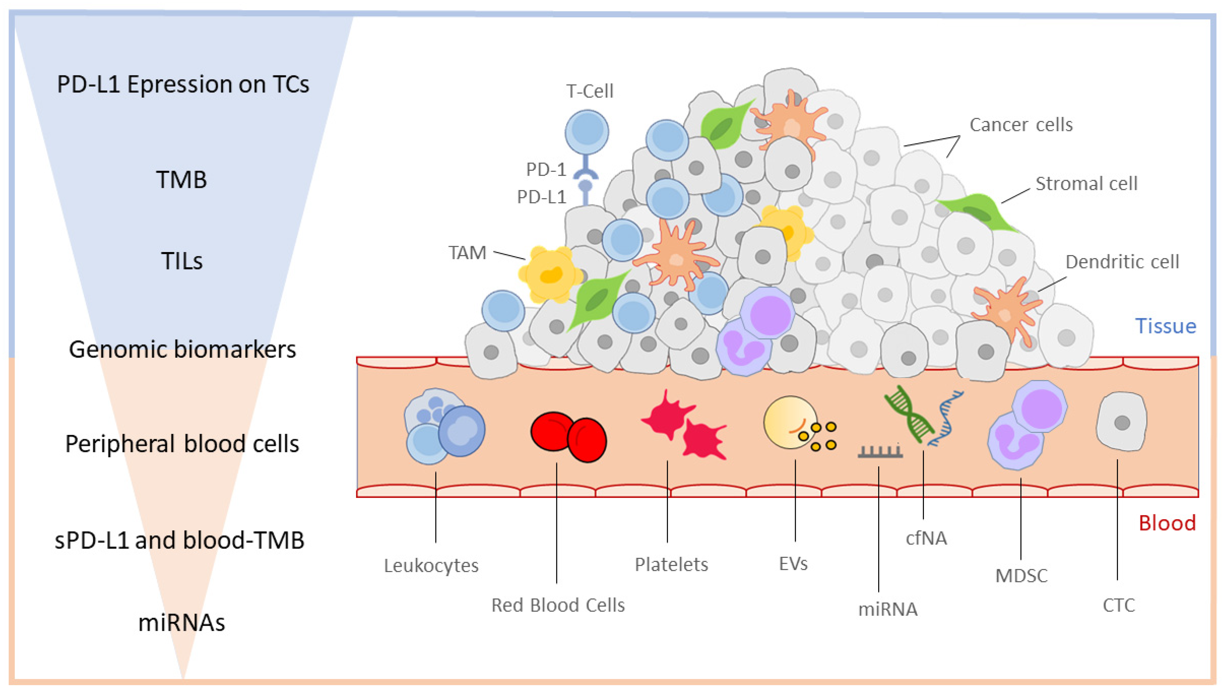 Curroncol 30 00181 g001 Curroncol 30 00181 g001